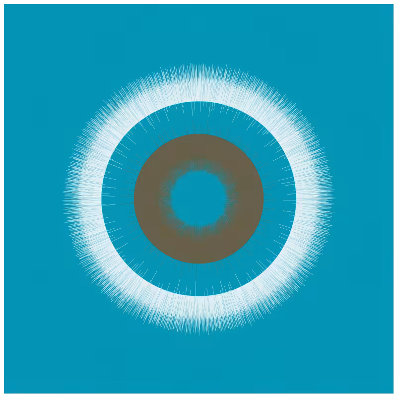 Circular Flow #8