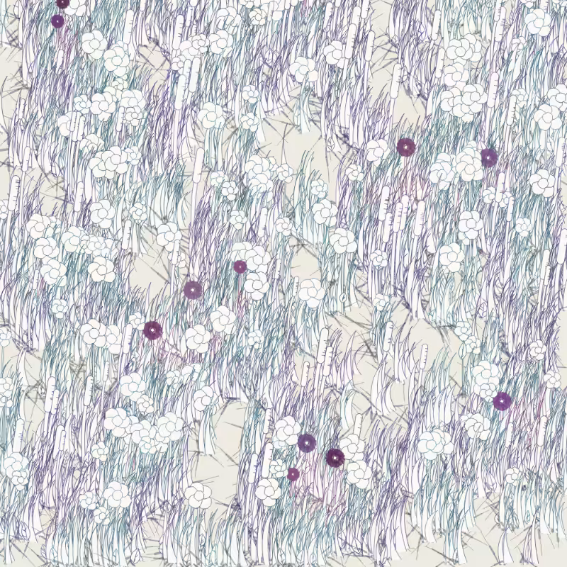 Petri 1500 #550