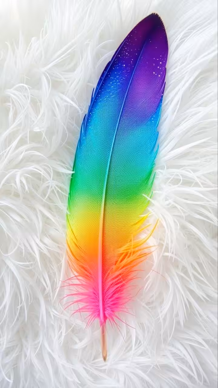 Feather 