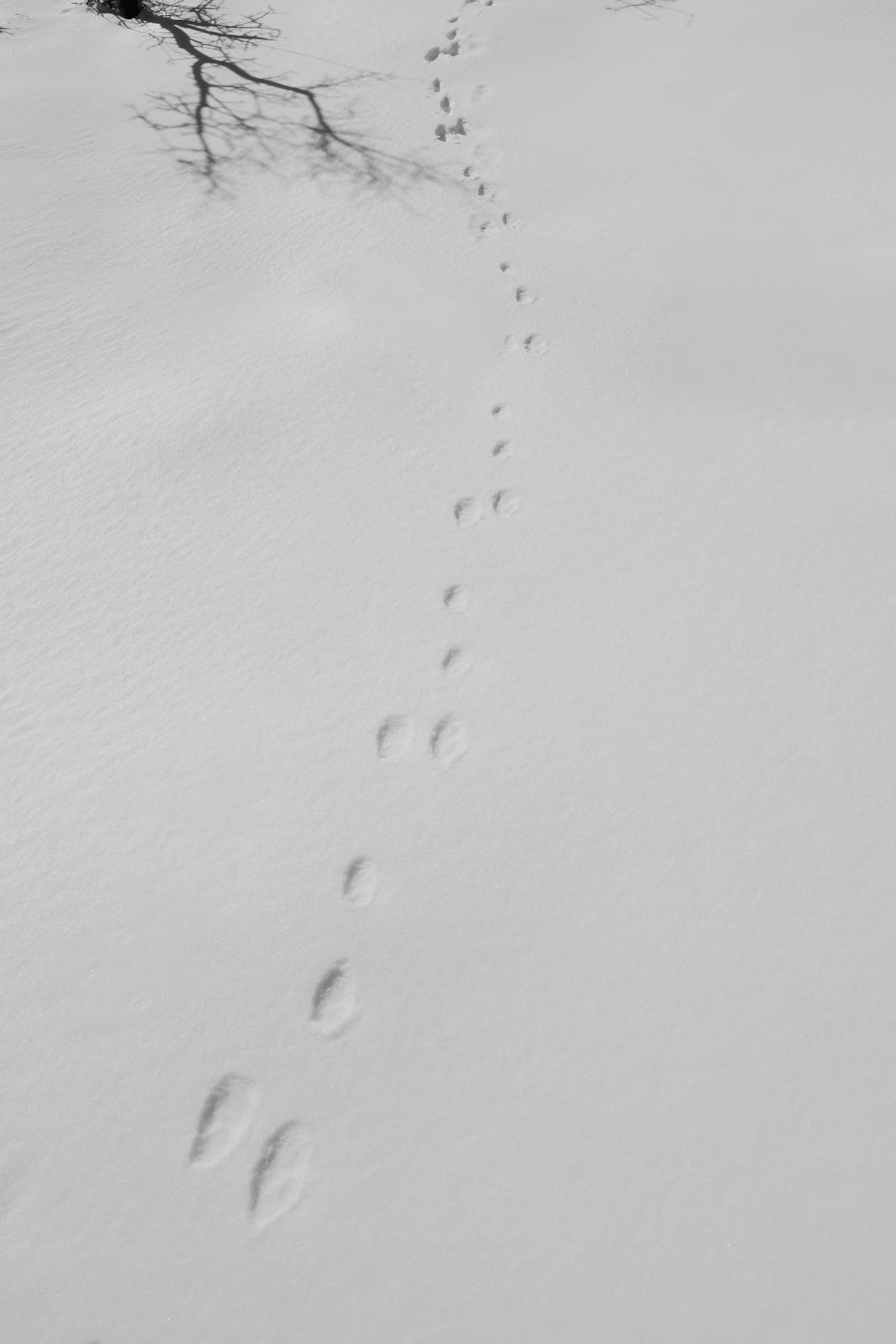 Route