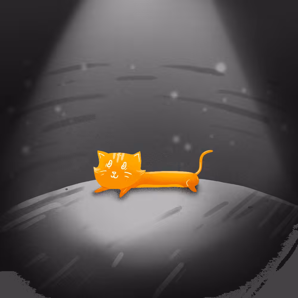 cat