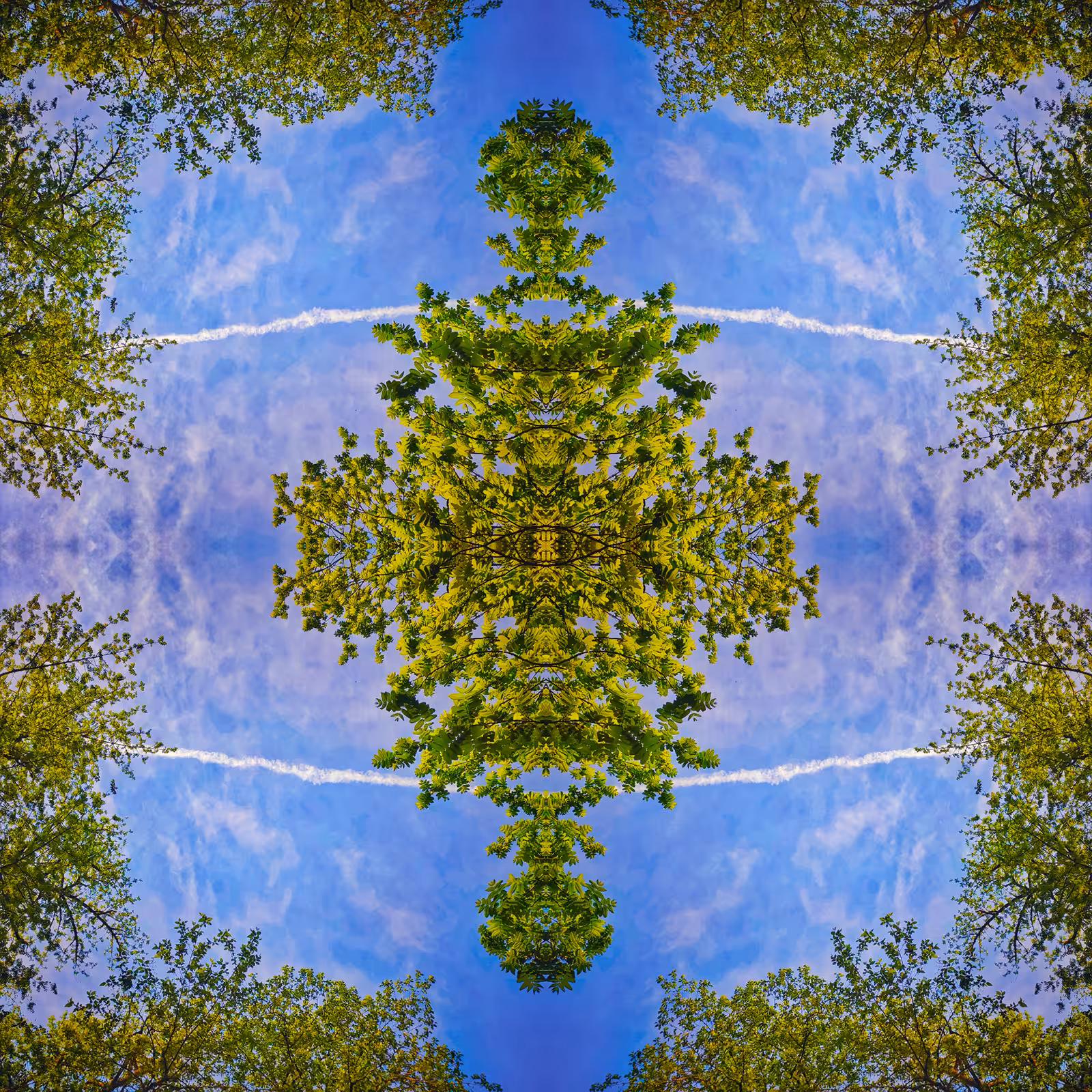Our Earth 2/4