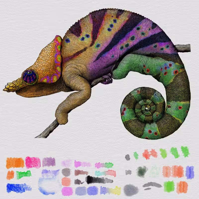 Colorful Cameleon #5