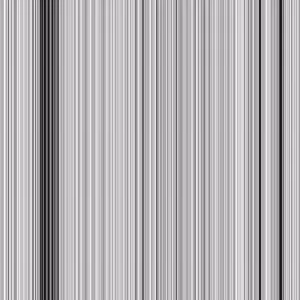Zebroidium 496
