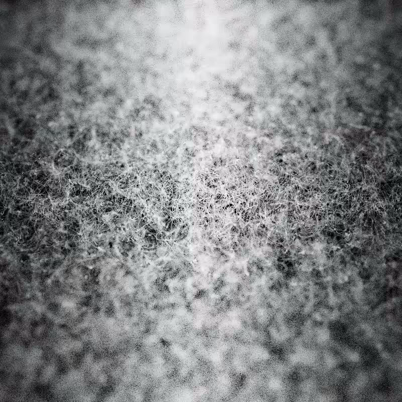 Field of noise #15