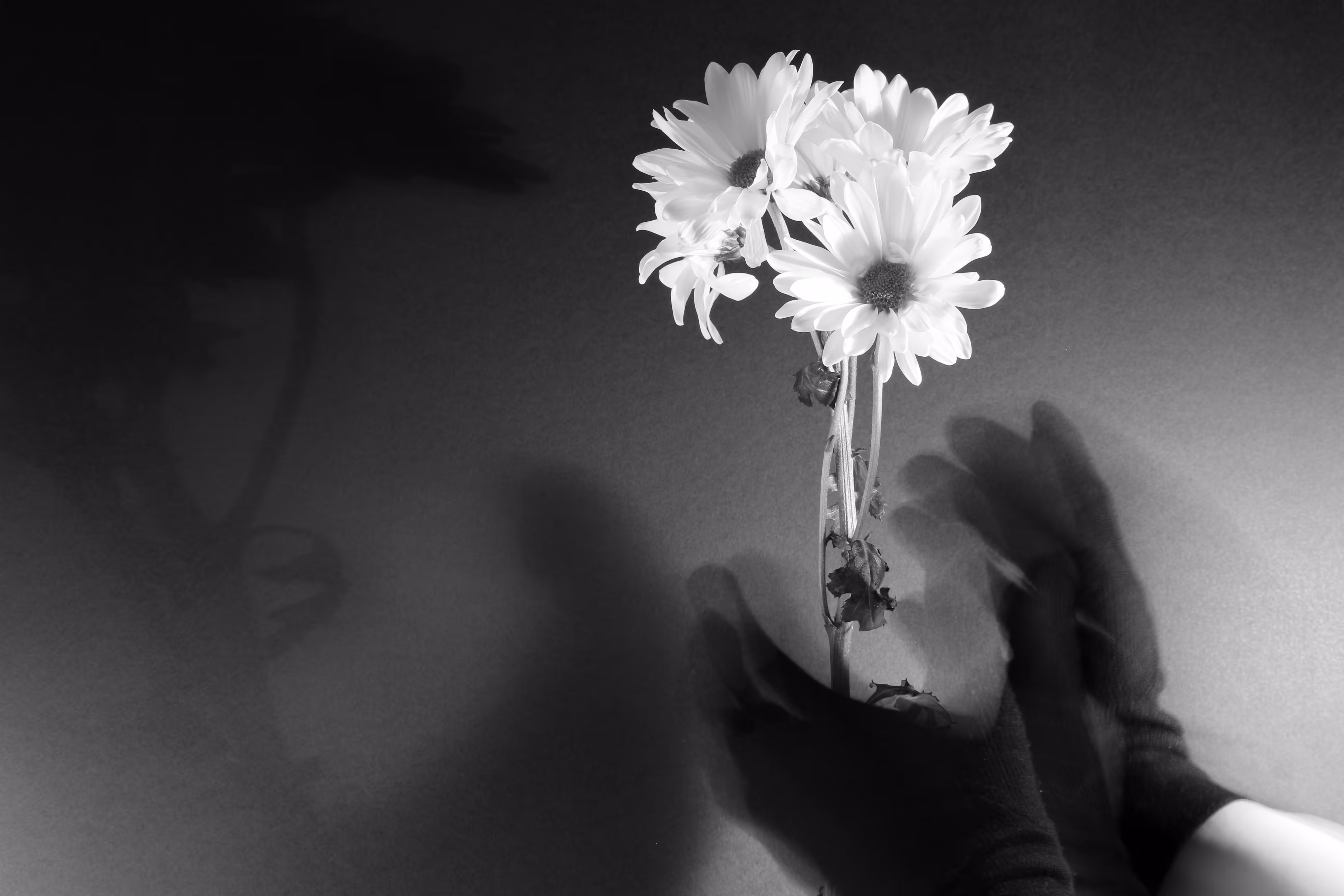 Flowers and Rhyms #2