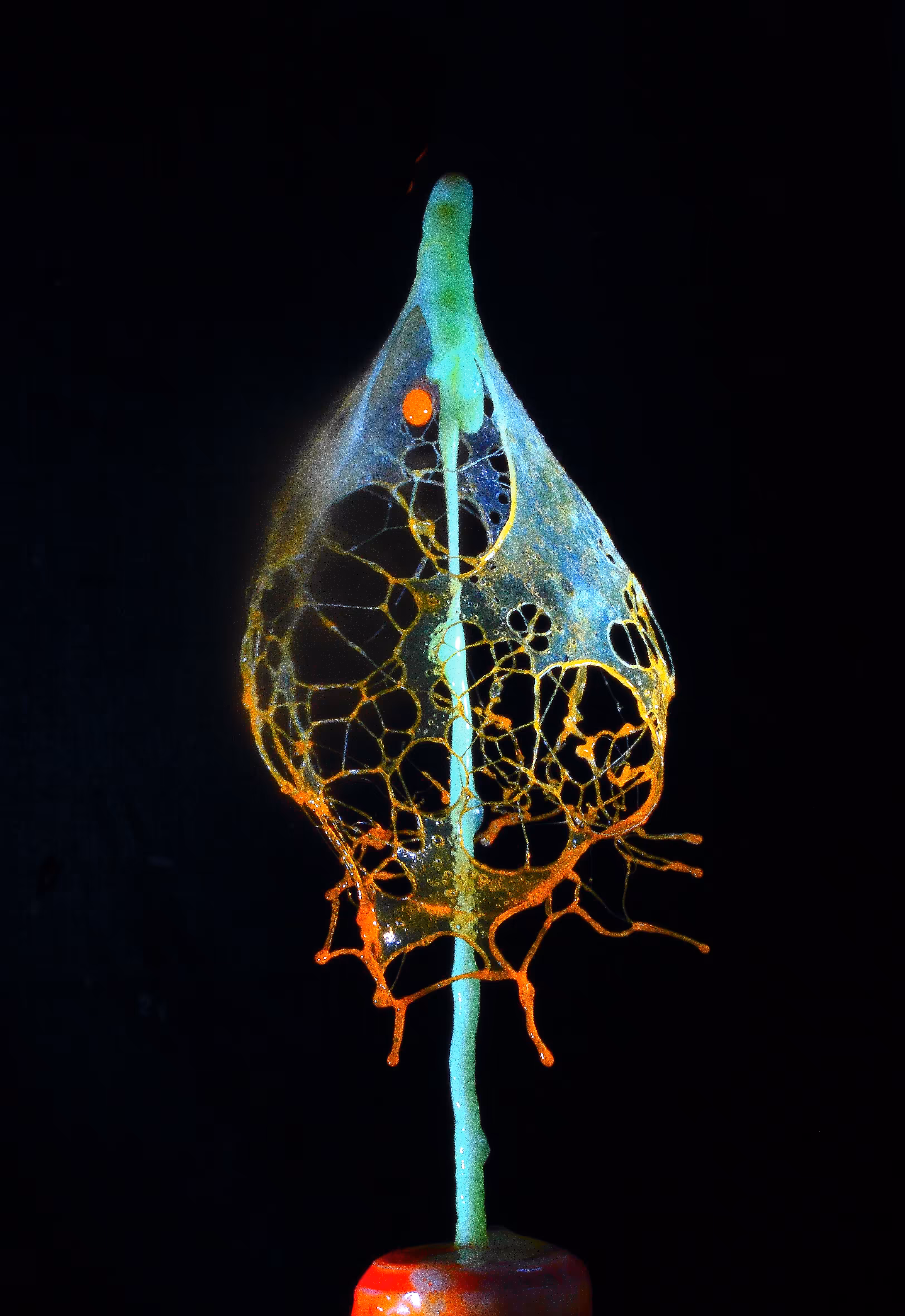 Drop Net