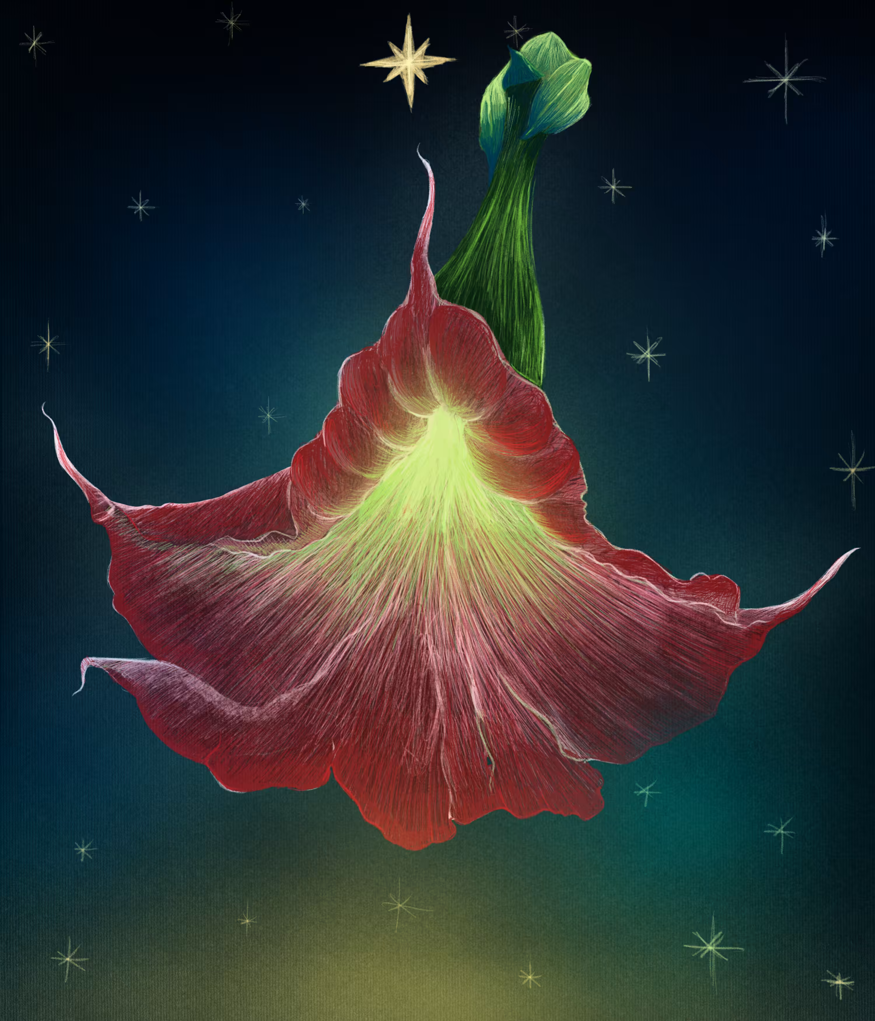 Floripondio 