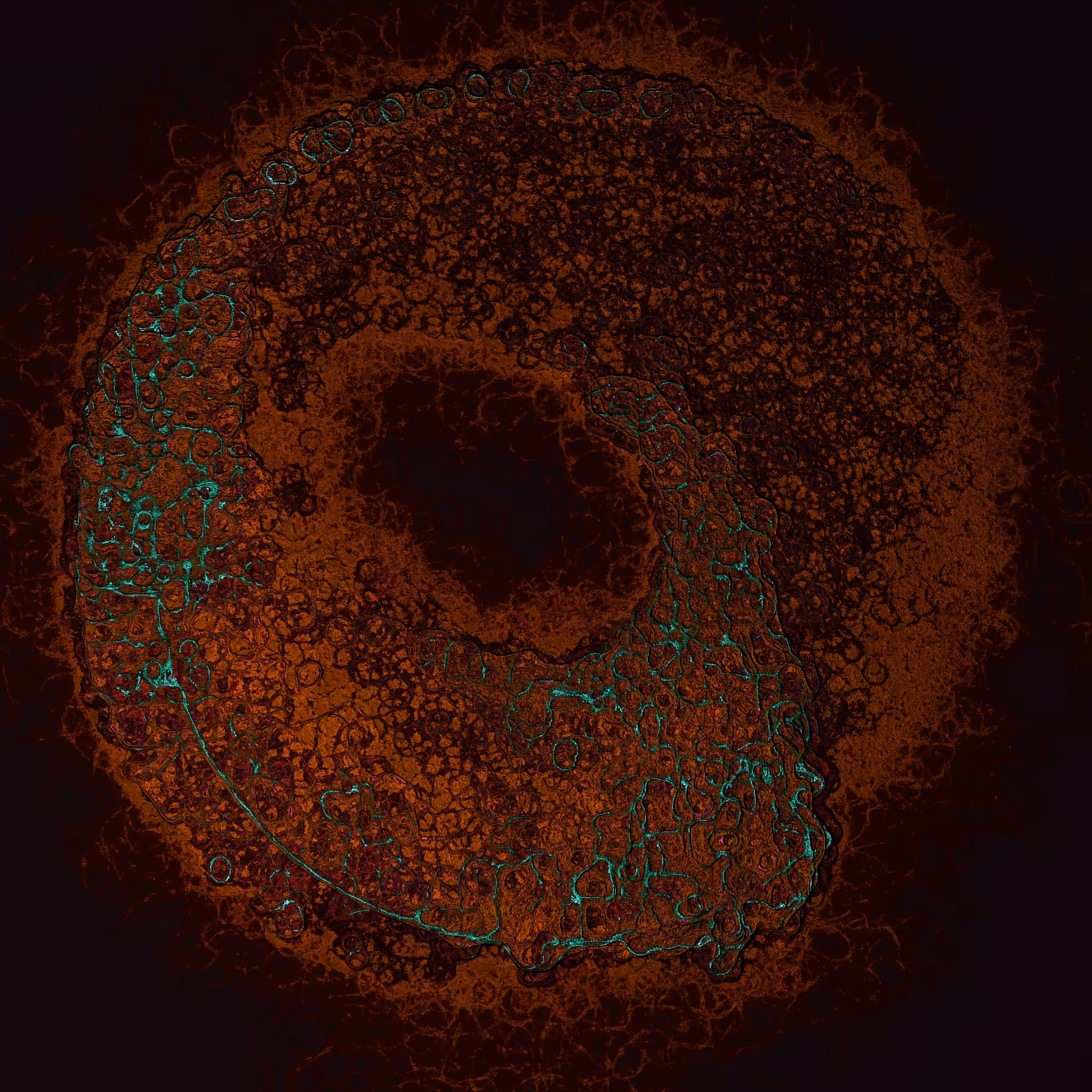 coalescence #88