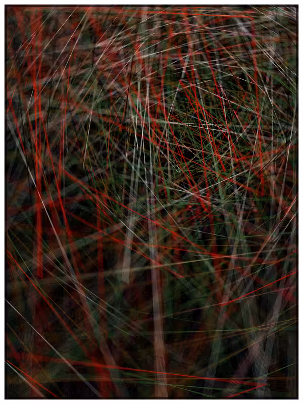 Haystack in a Needle #45