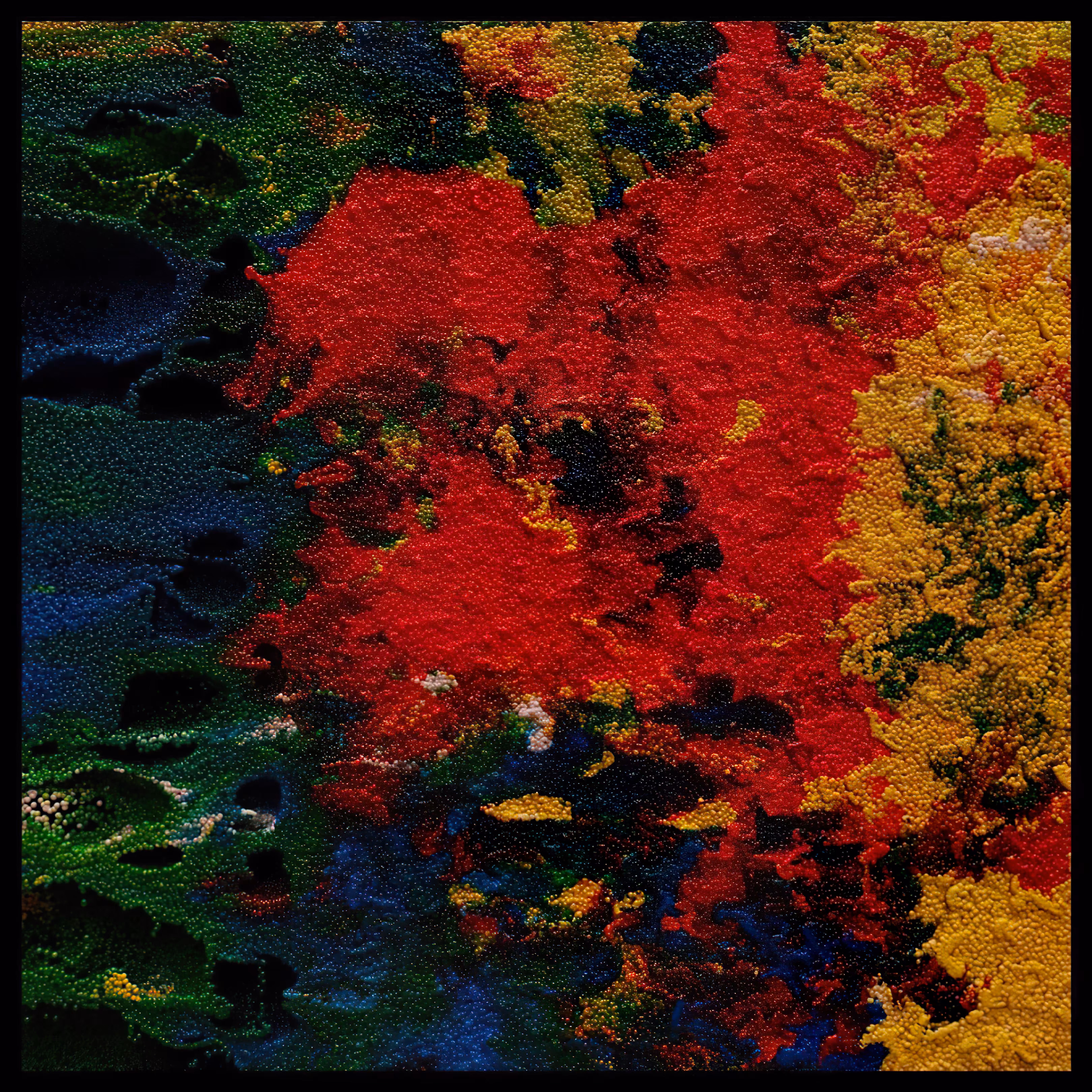 Digital Landscape 