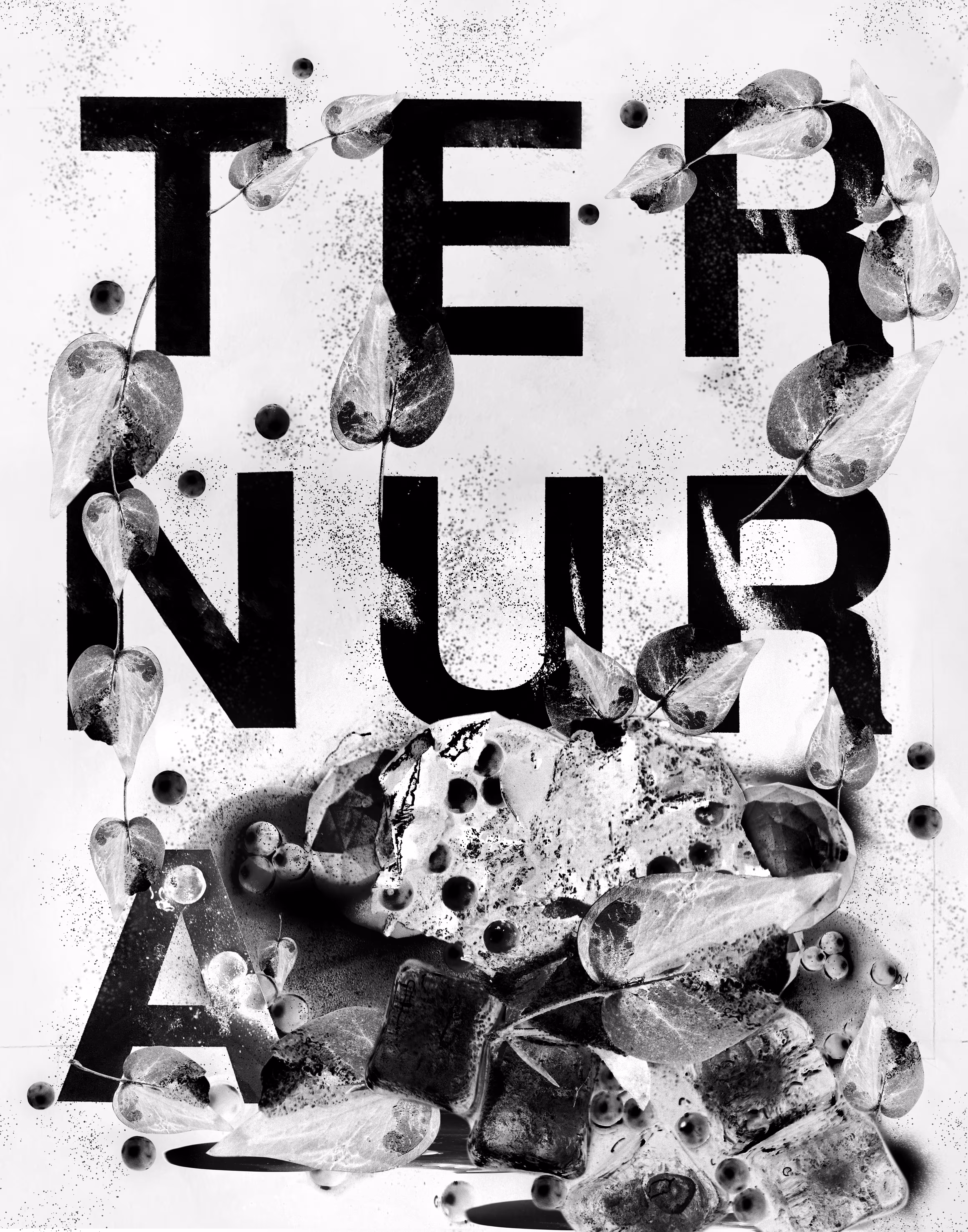 Mots 12 - Ternura