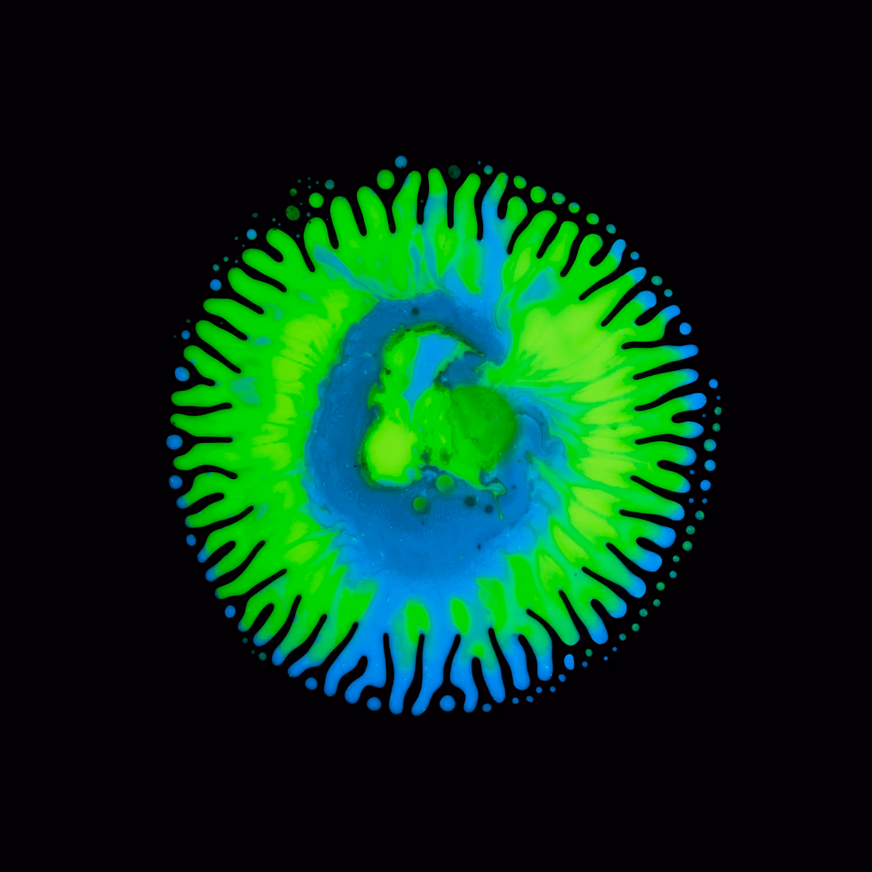 Haematopoiesis #79