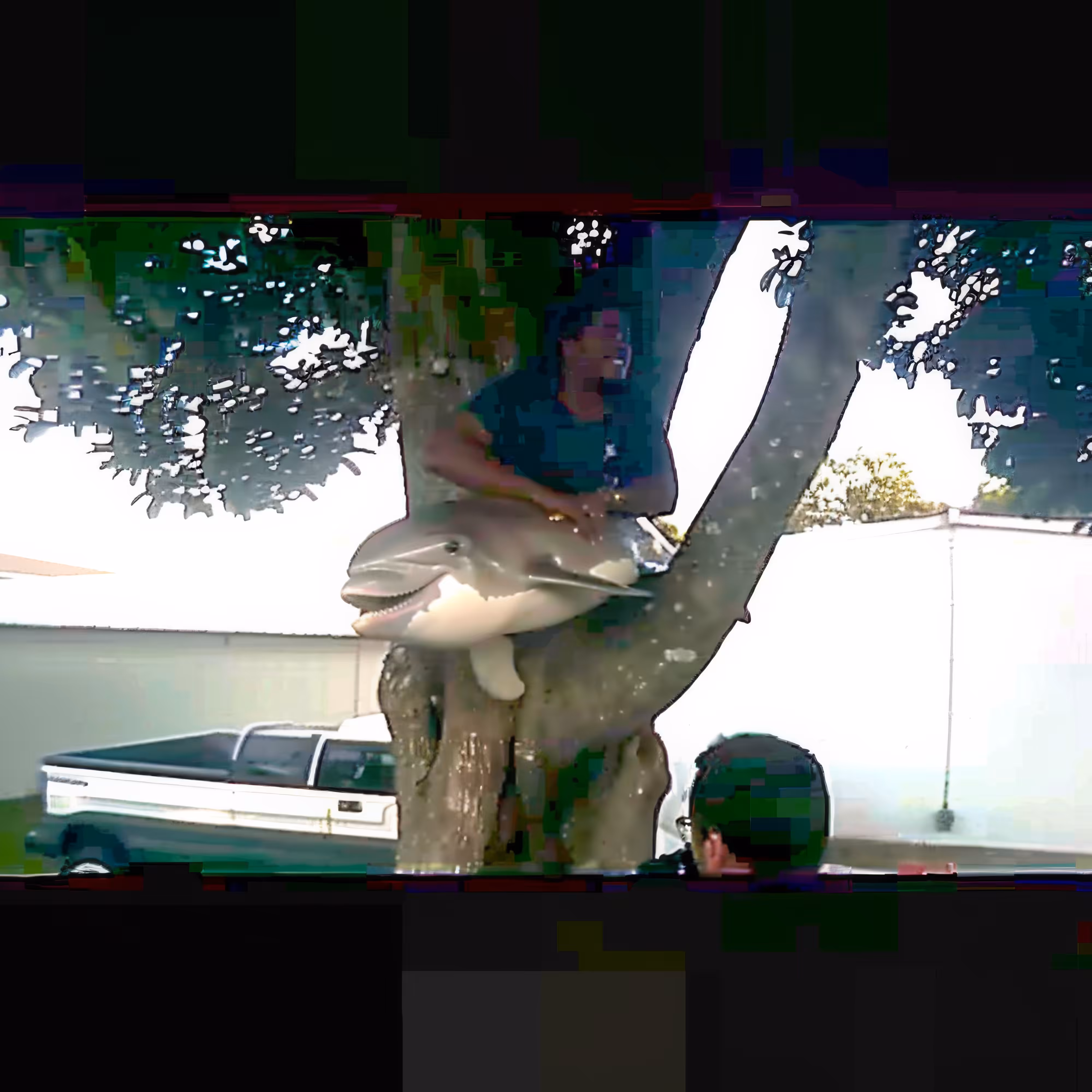 BAD JPEGs: Treehouse-Delphinus