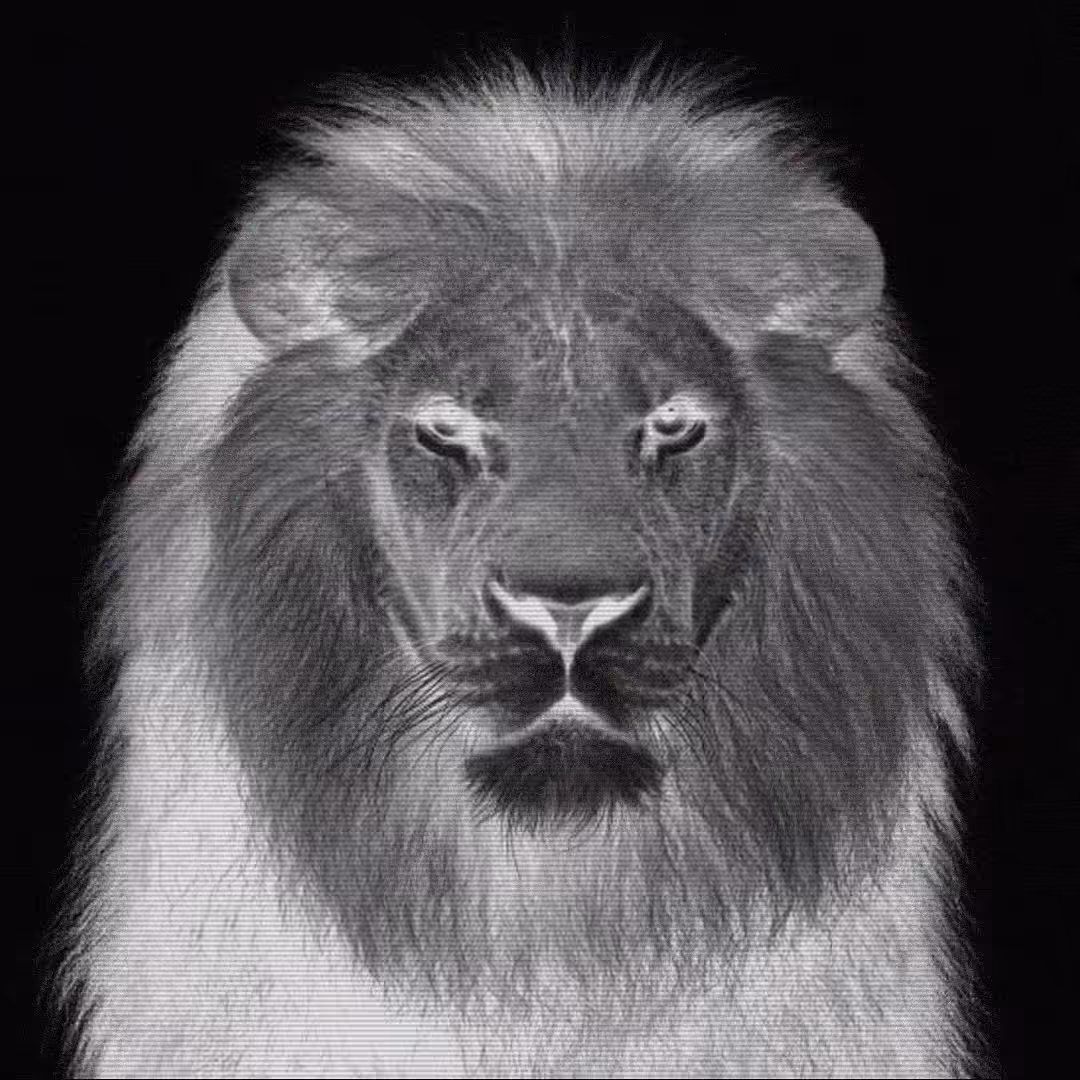 THE KING