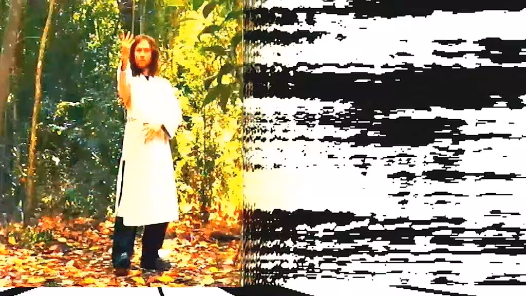Wudang Taijiquan (a Block Analogic)