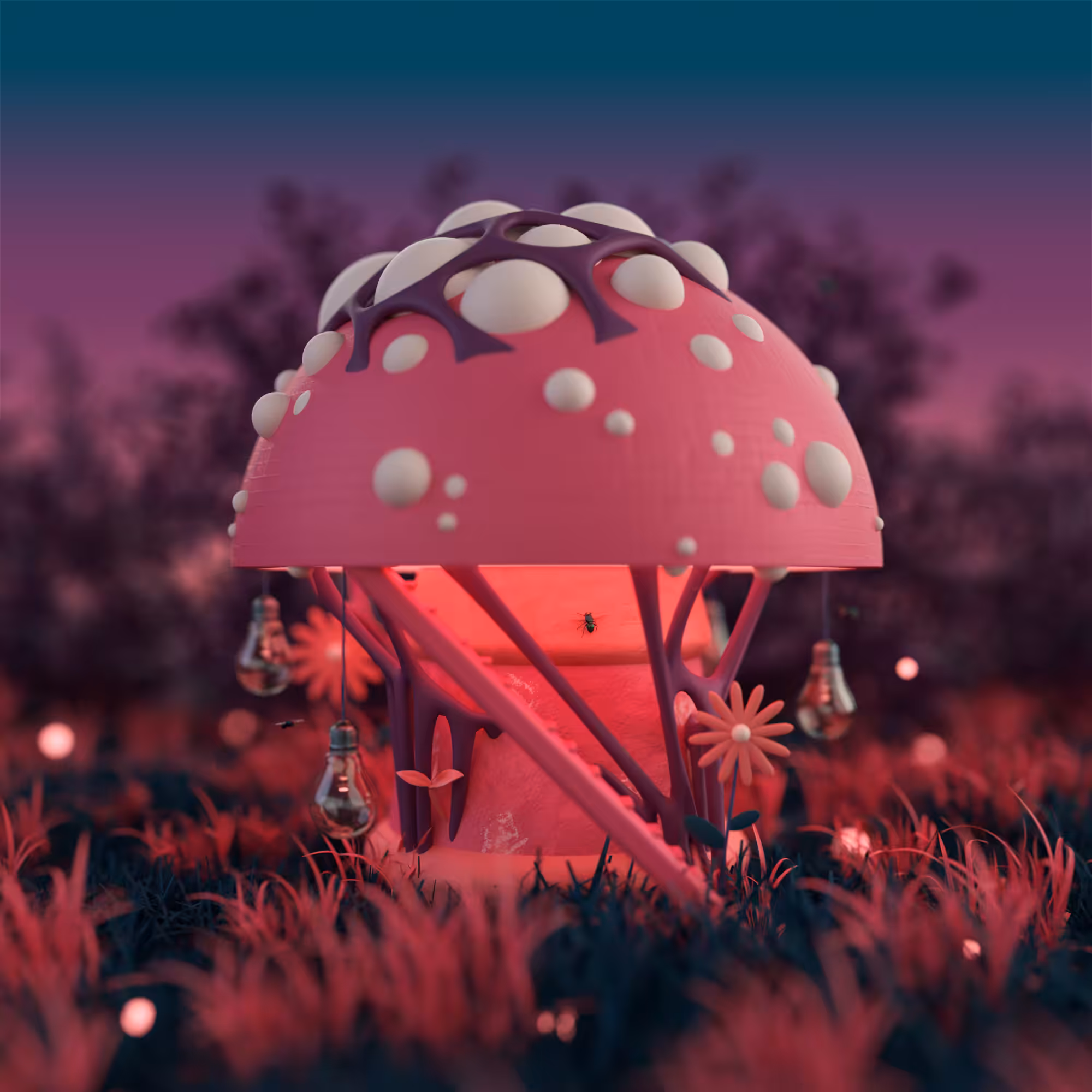 Fairy mushroom - Sunset