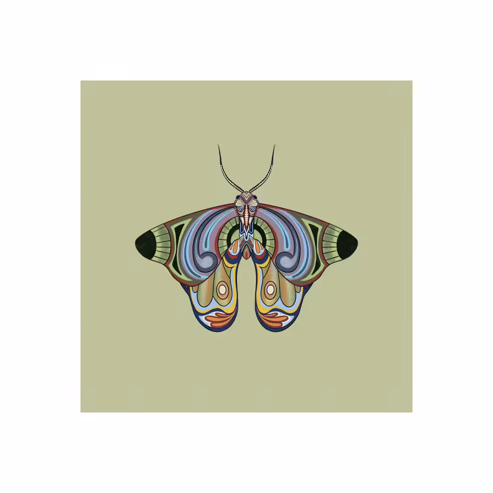 The Moth Experiment  #19