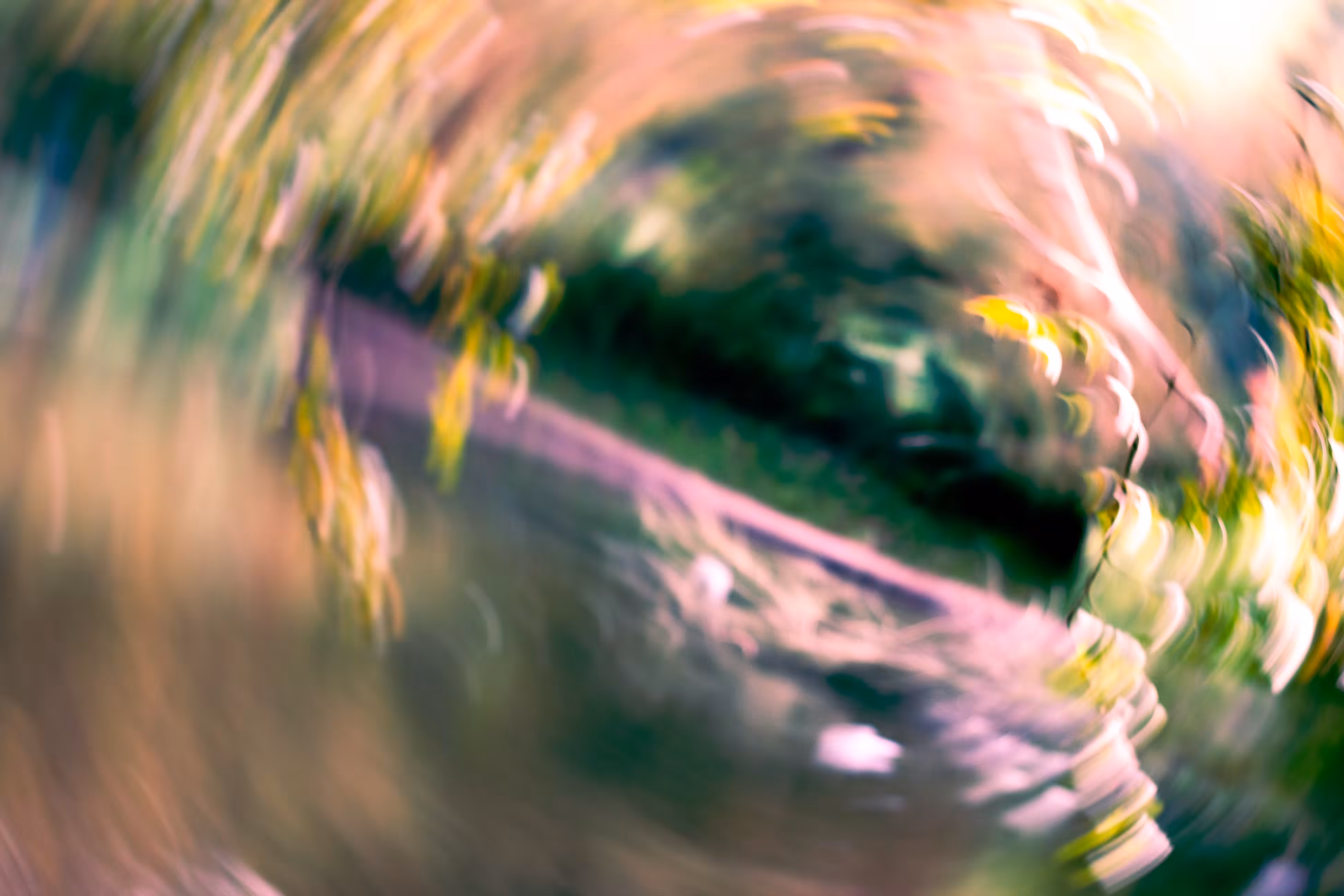 Twisted Focus