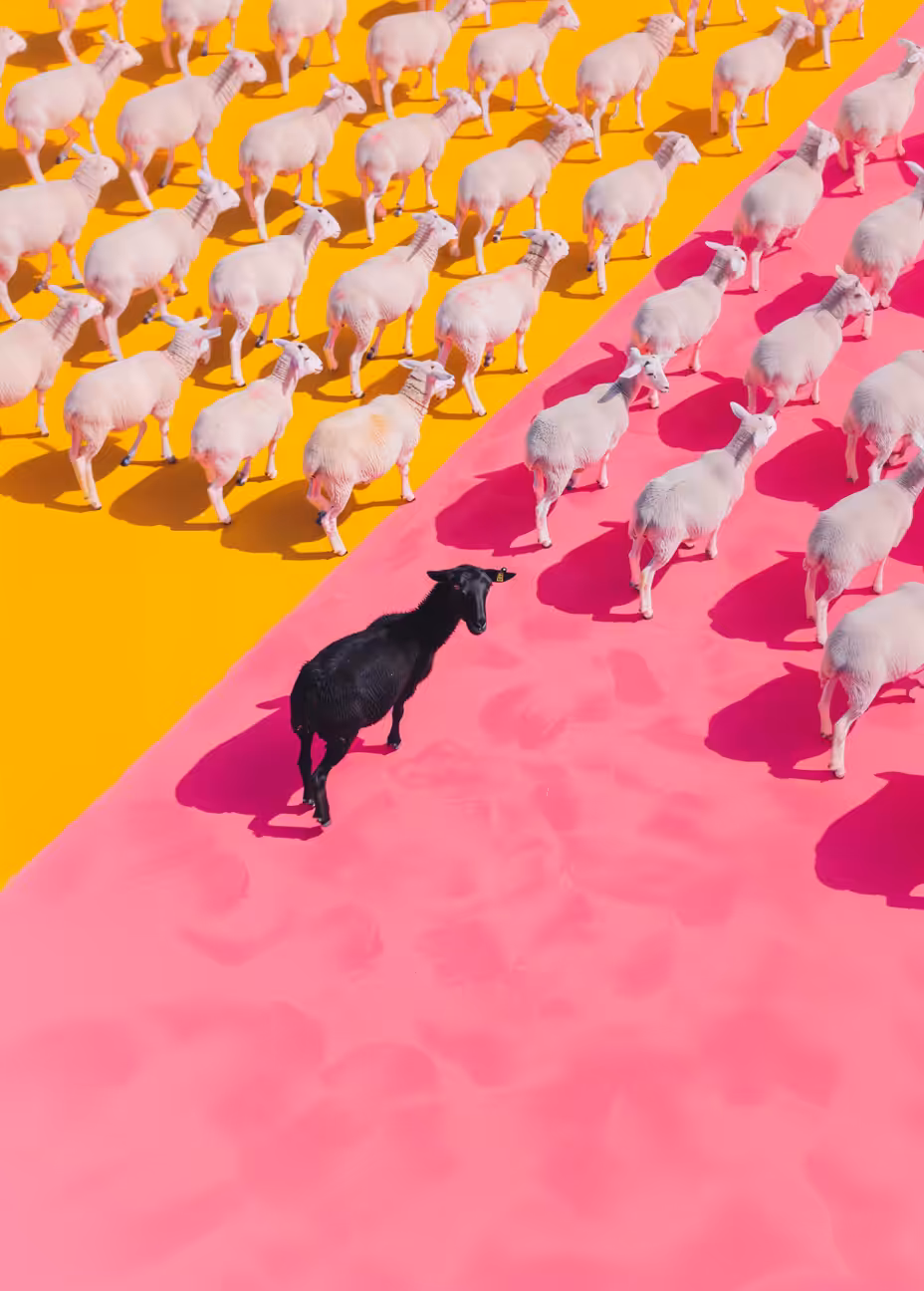 Rodeo post #864: Don't be afraid to stand out.