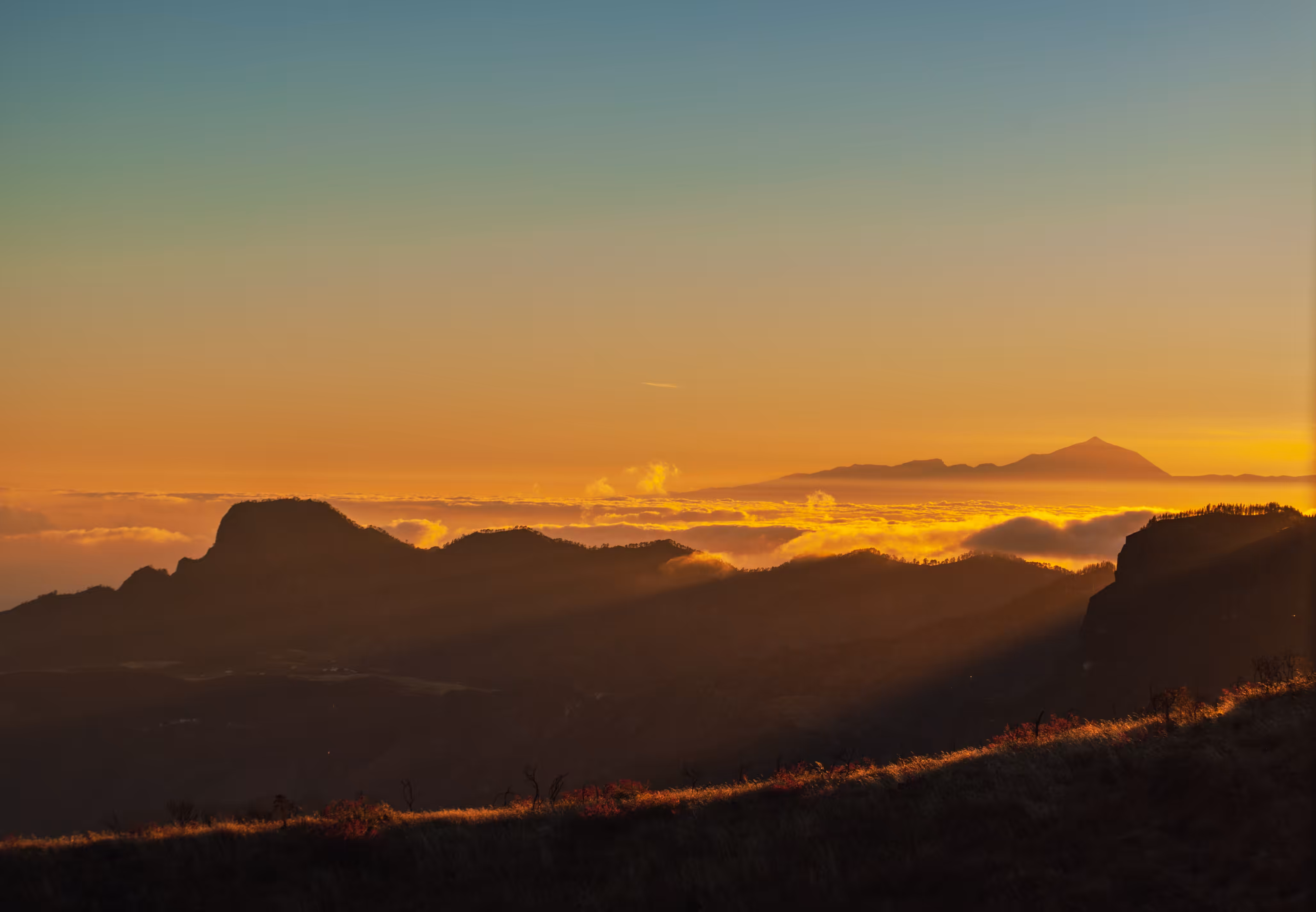 The Last Light 