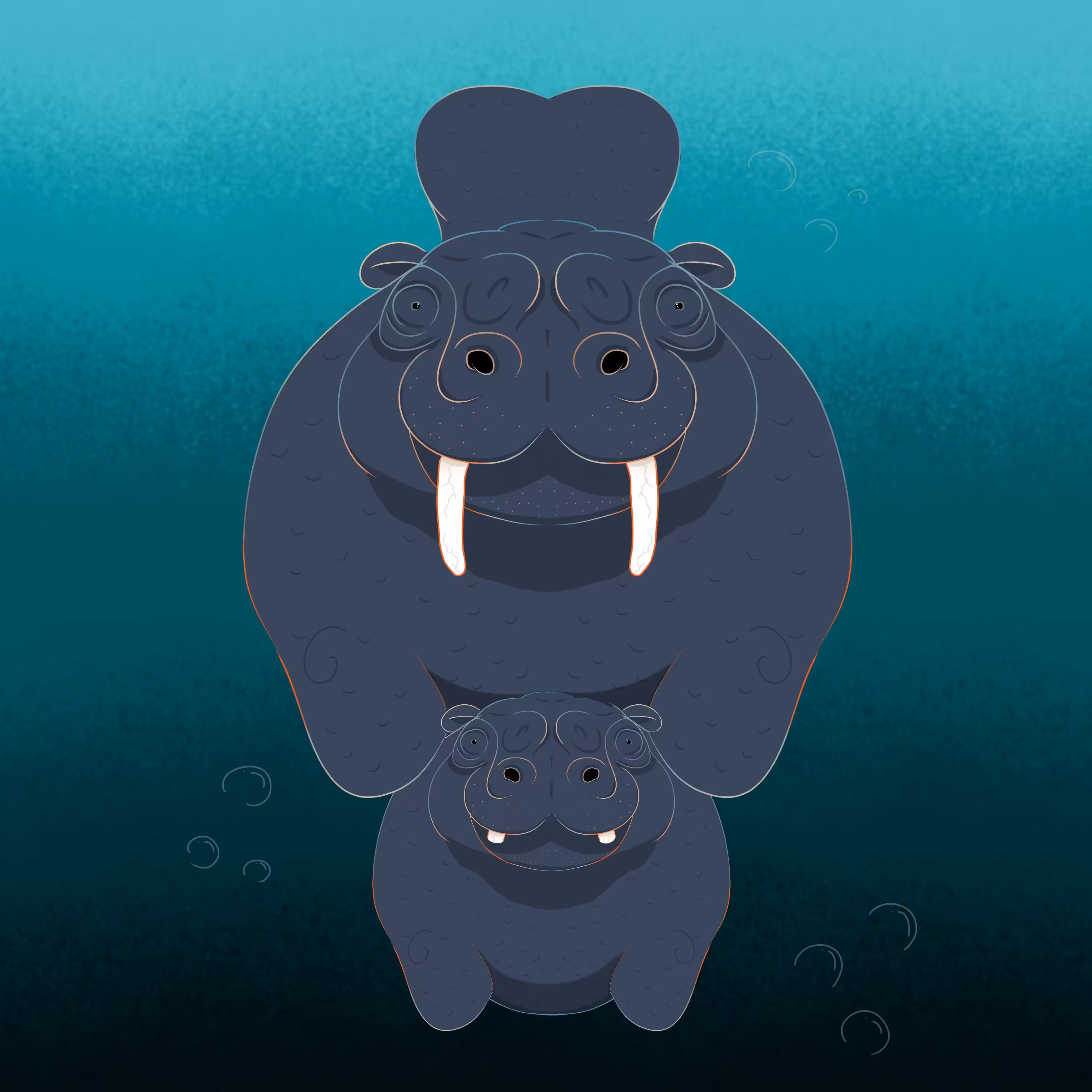 The First Swim