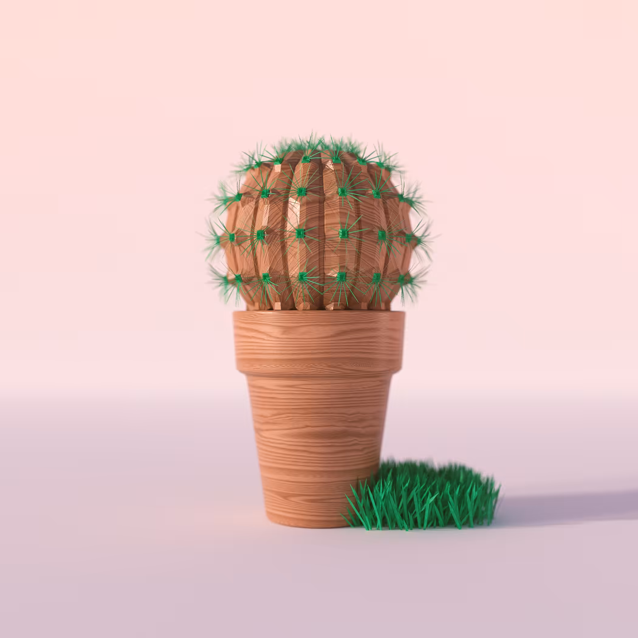 Forest Cactus