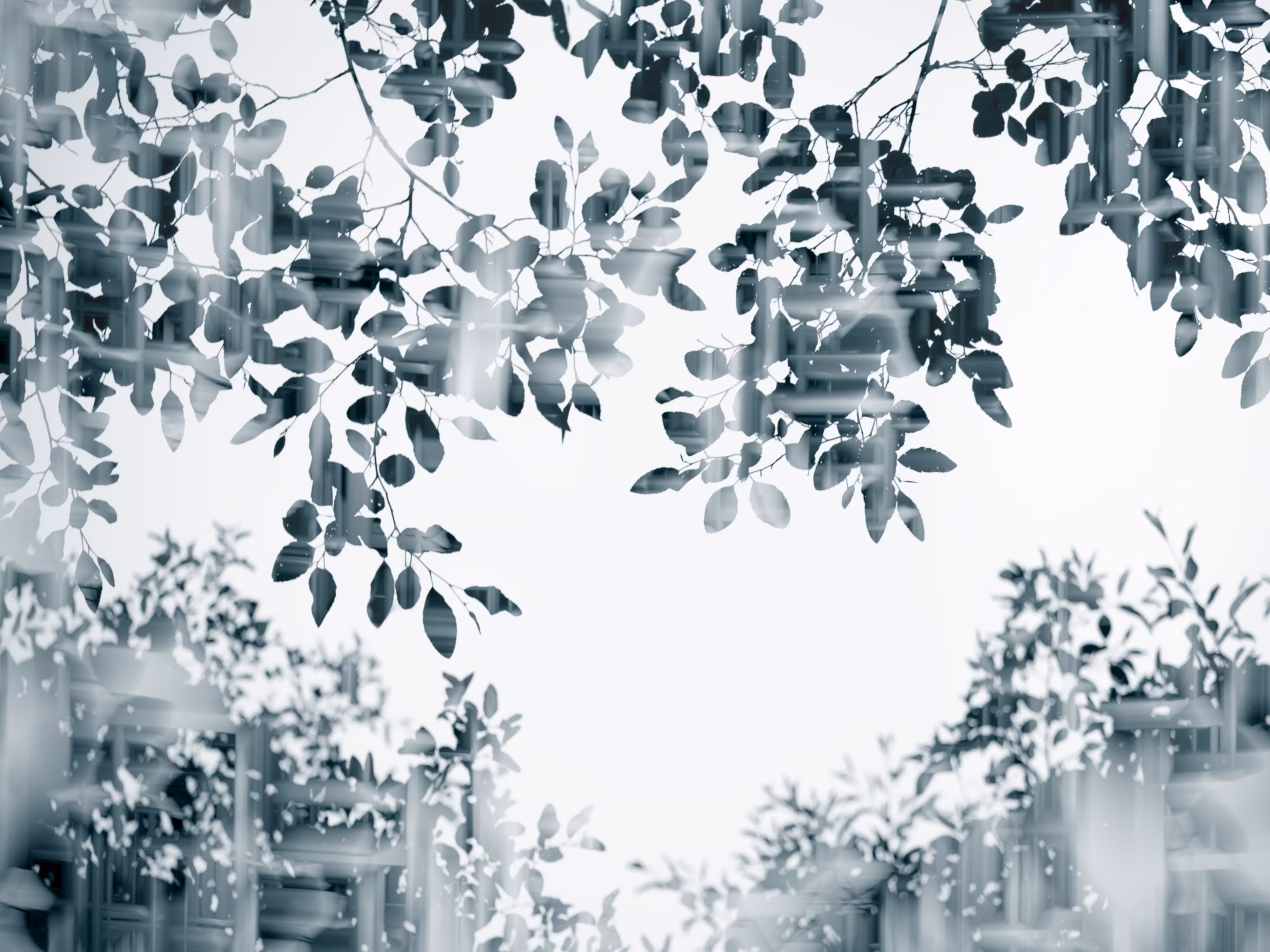 Stillness