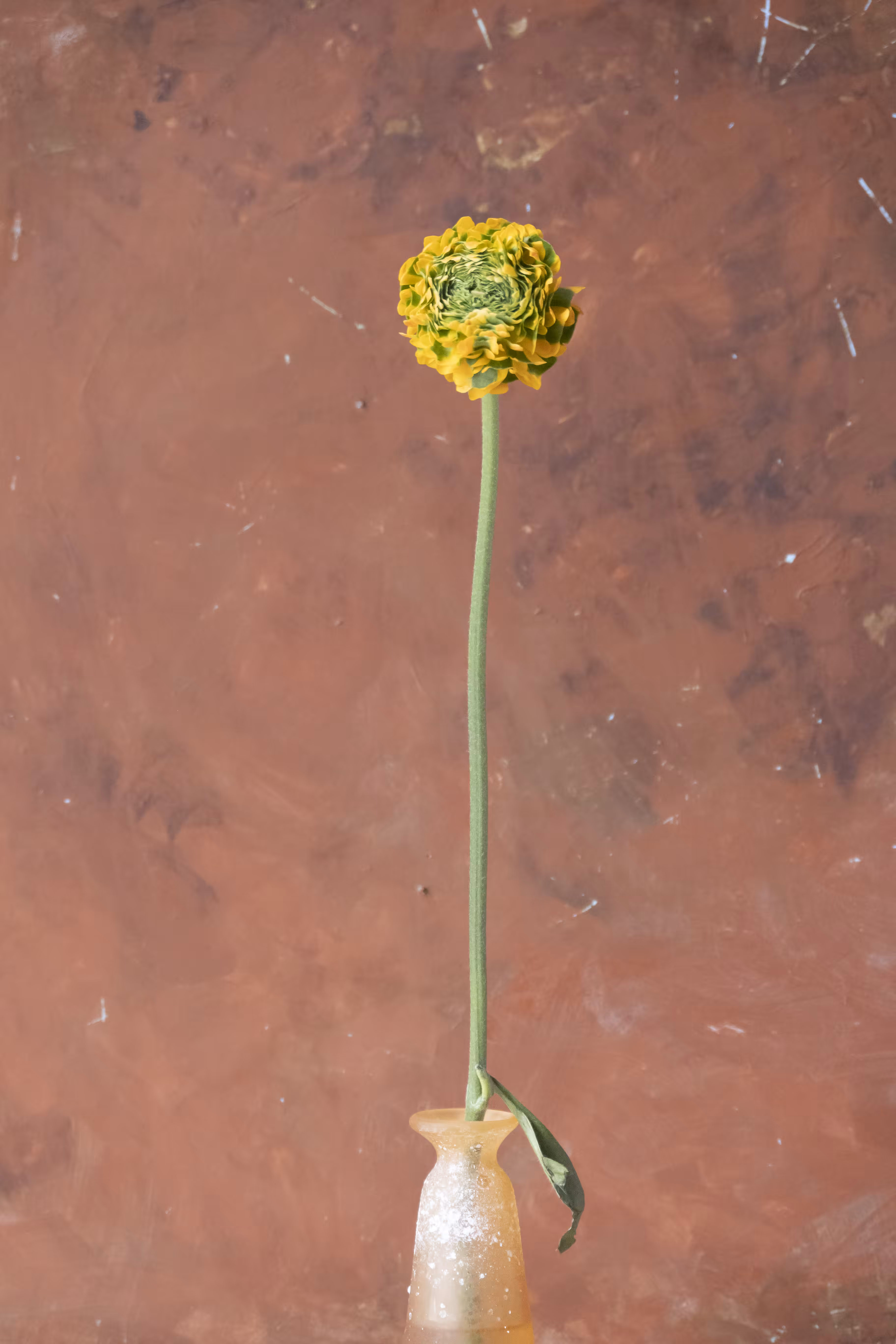 Still Life.4