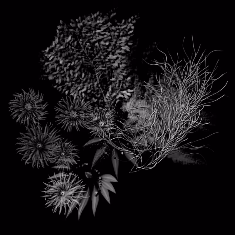Botanical Ghosts #100