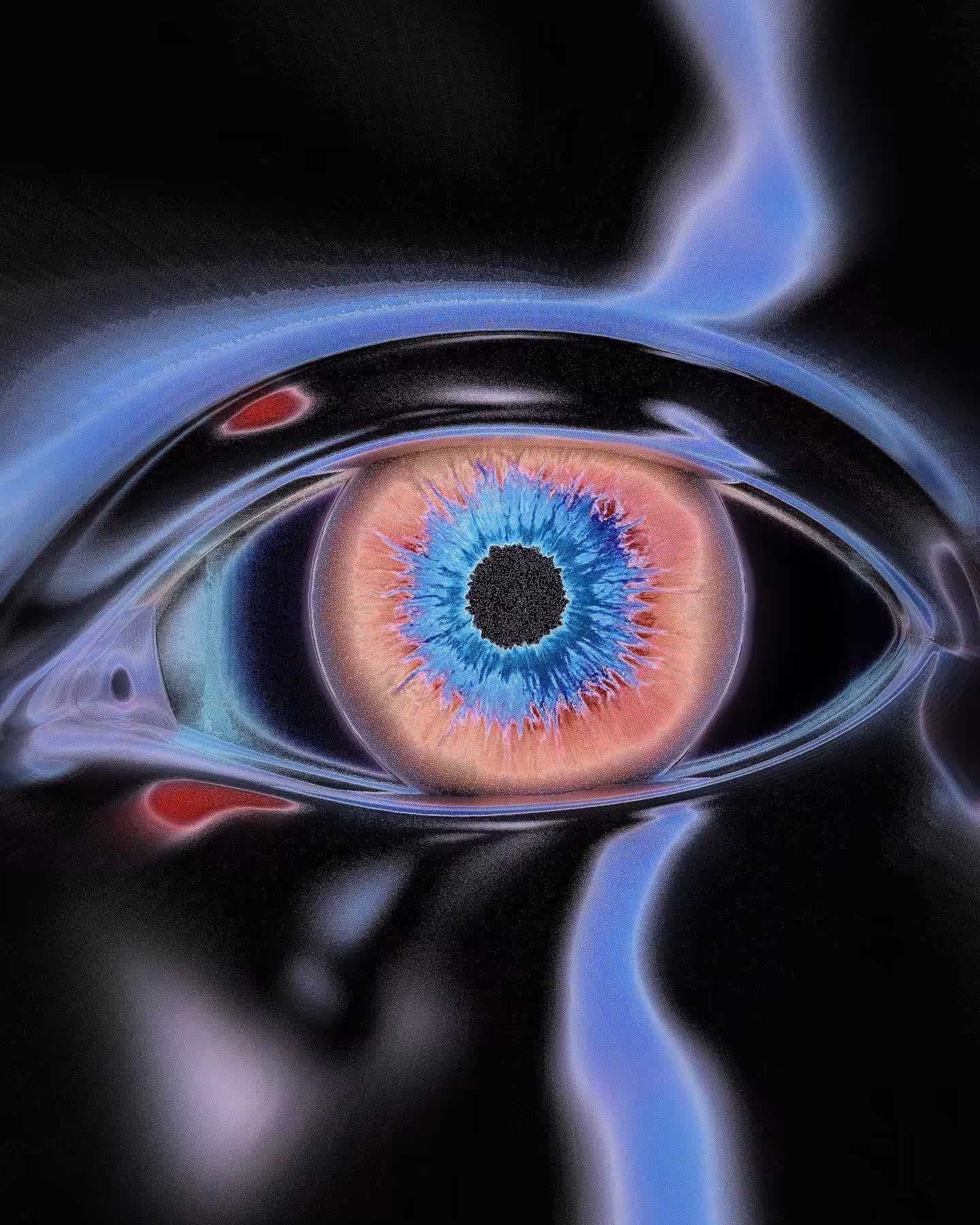 The Universe