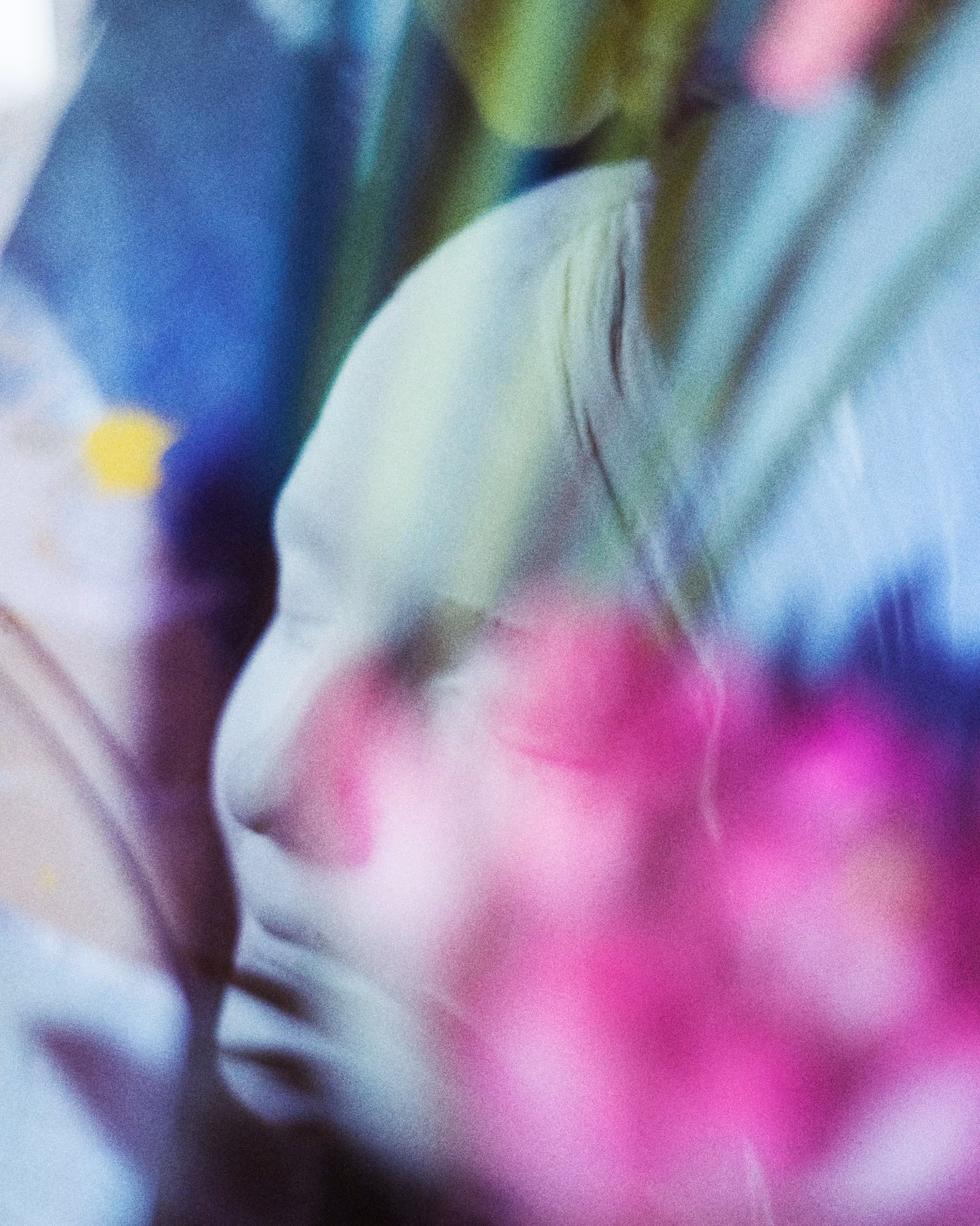 Inconnue. Rose