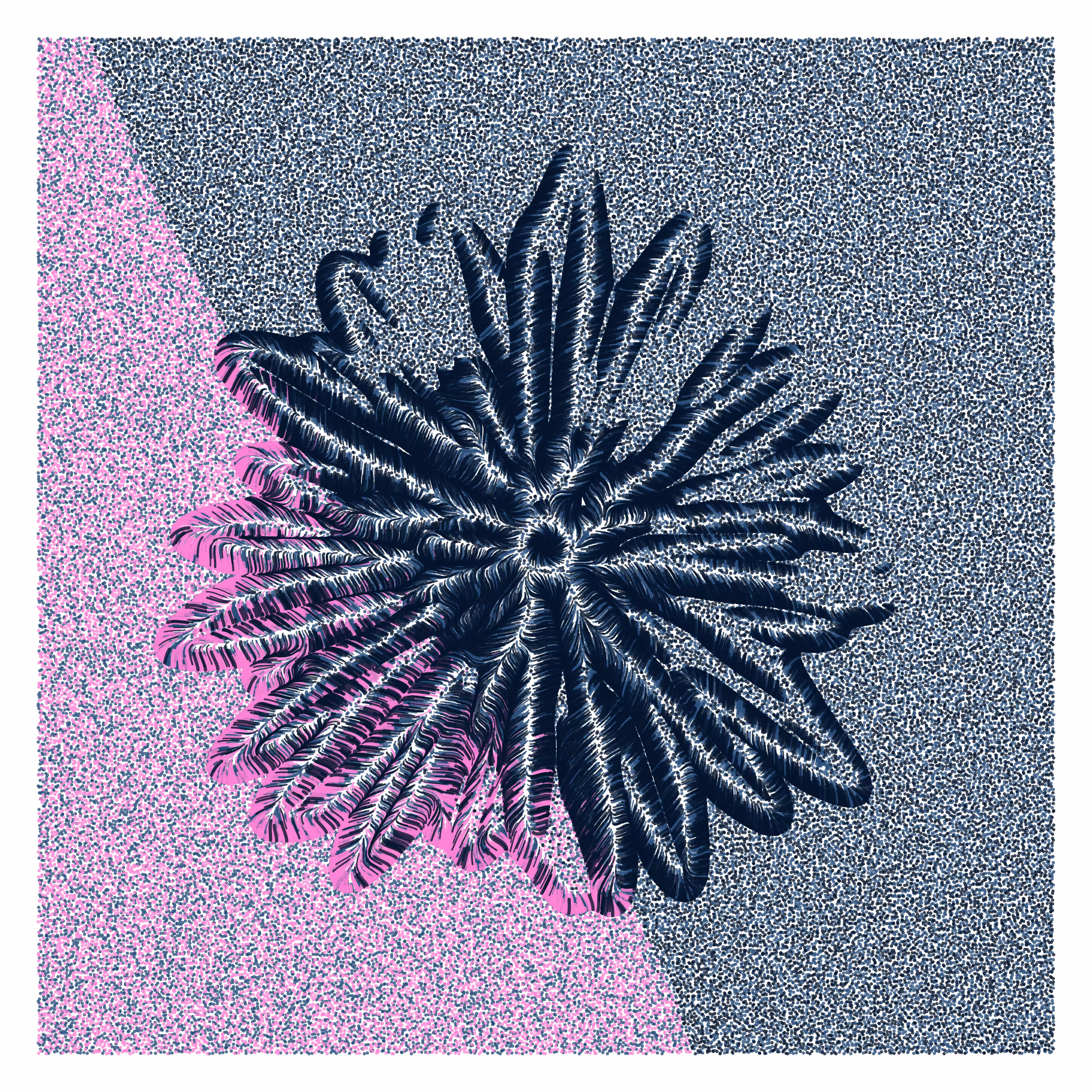 Flower Portrait #3