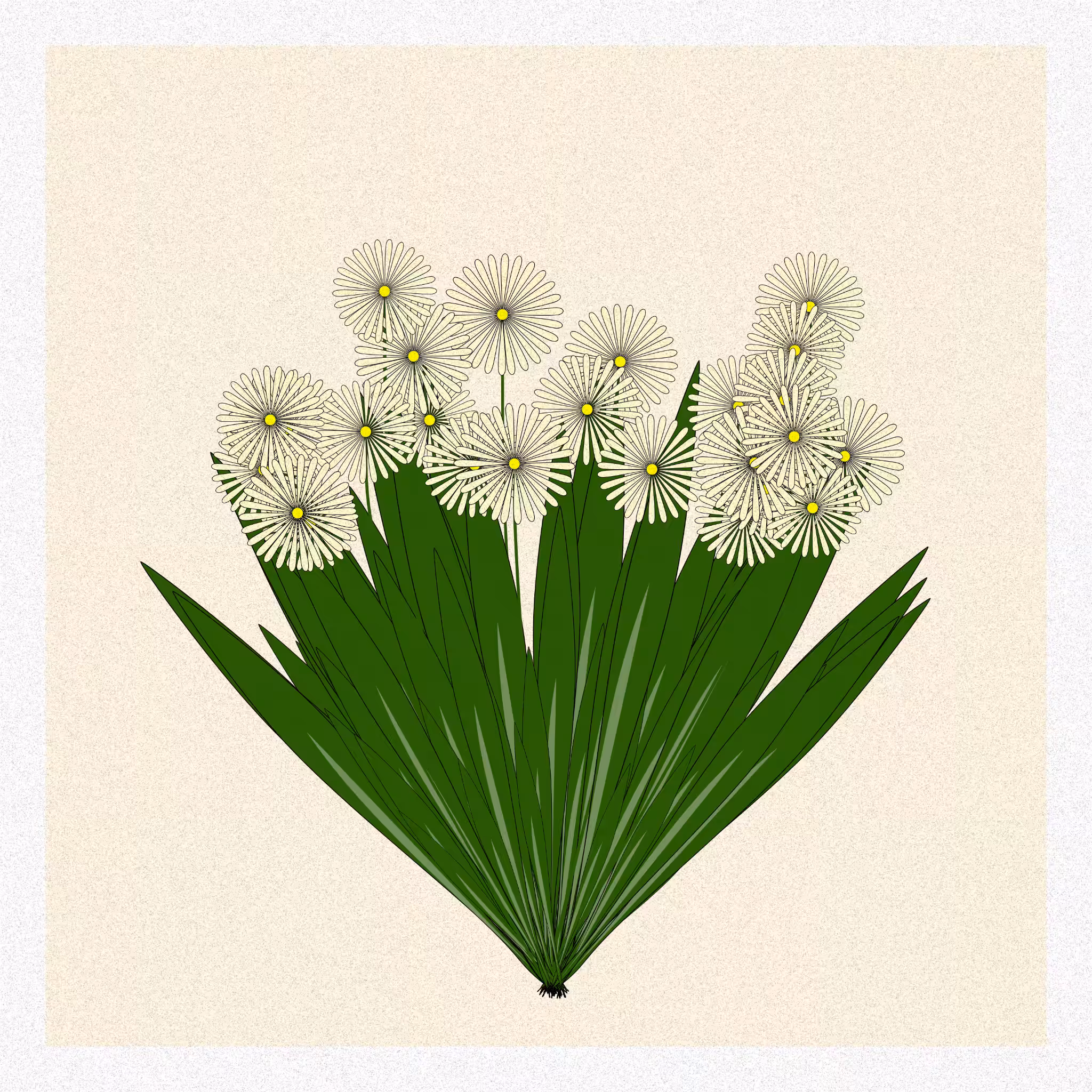 Flowers #116