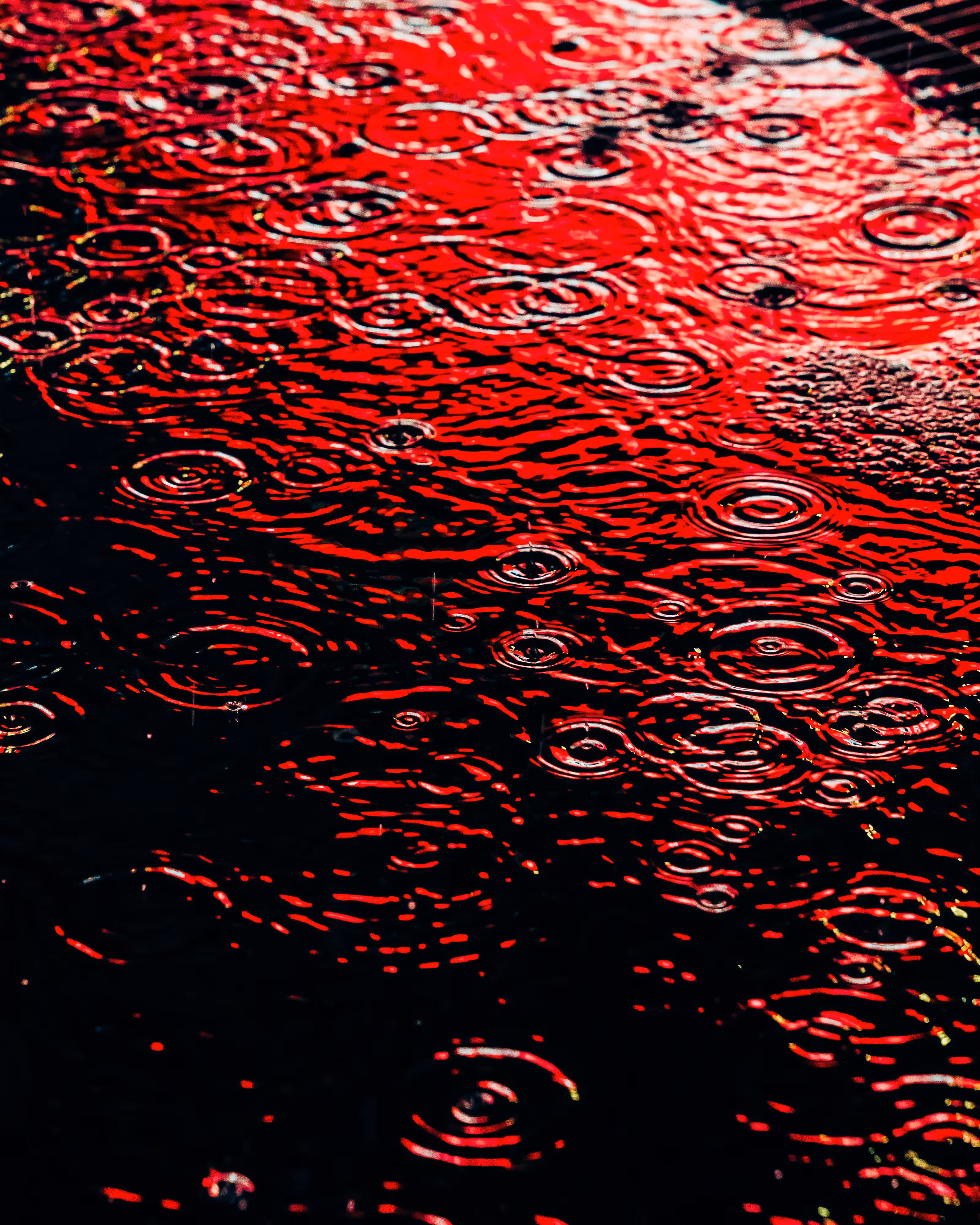 DRIP DROP: DRIP #774