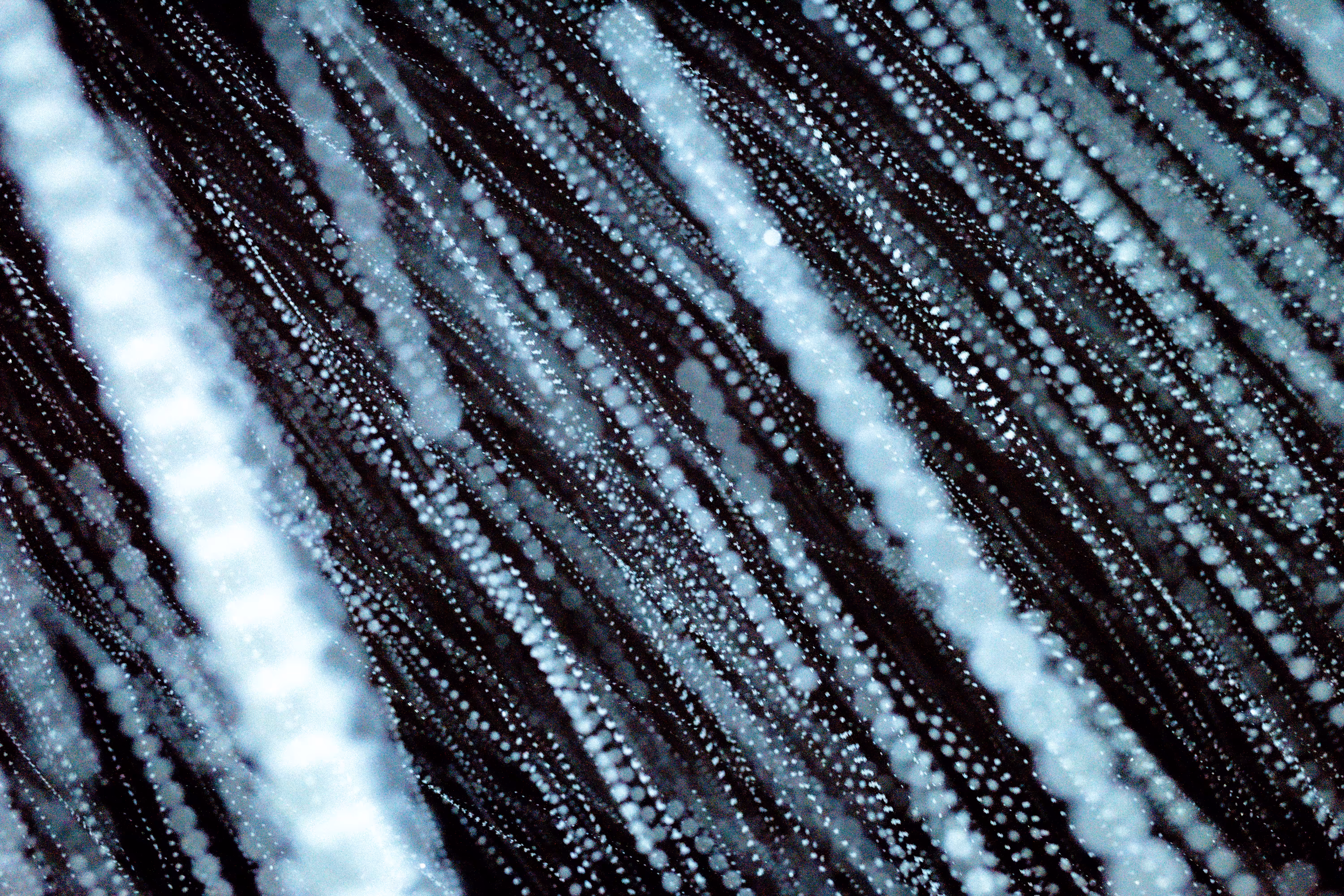 GISELXLIGHTSLURRY: L1210129 : An omen of the skies