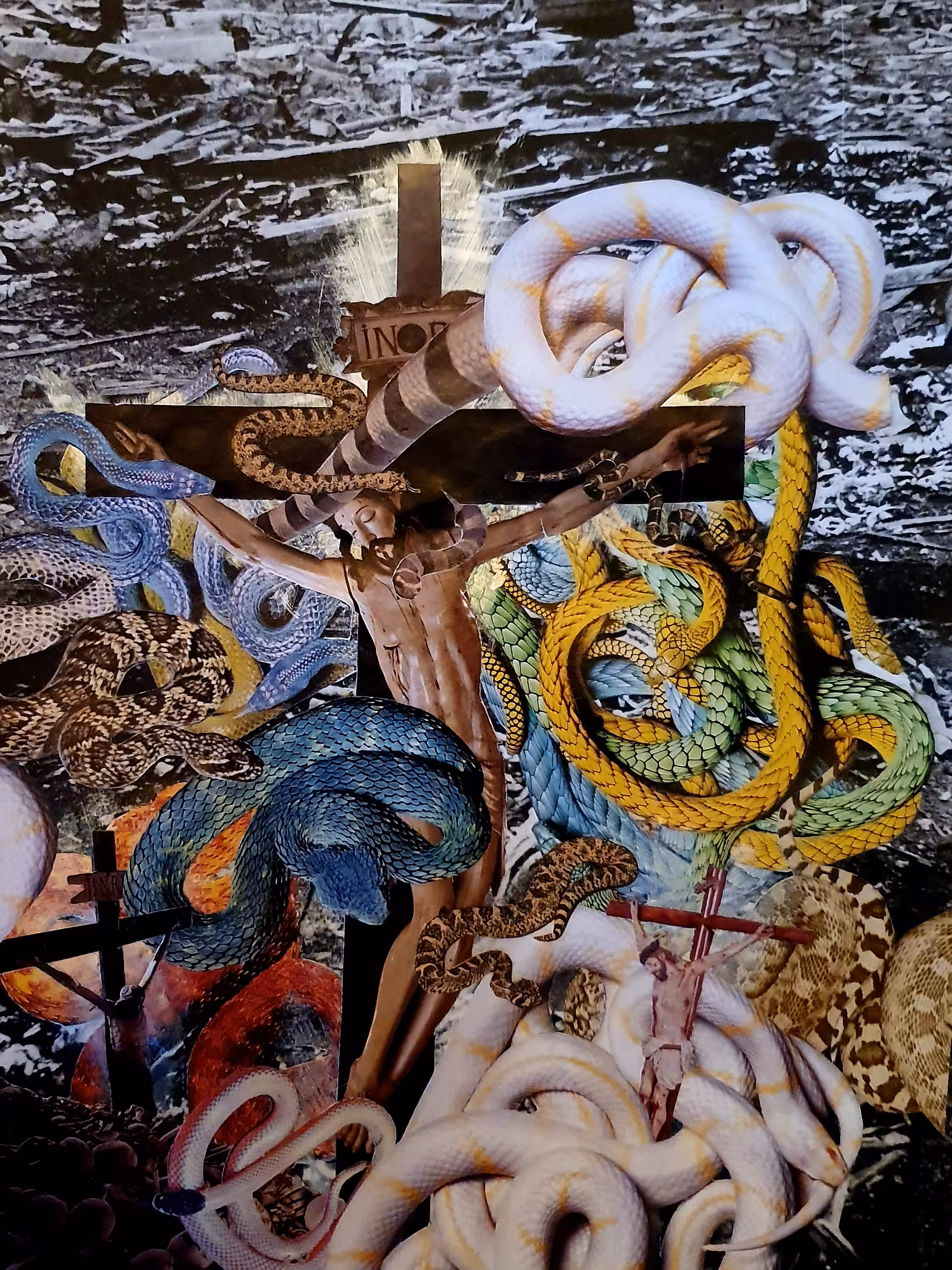 Snakes and Ladders