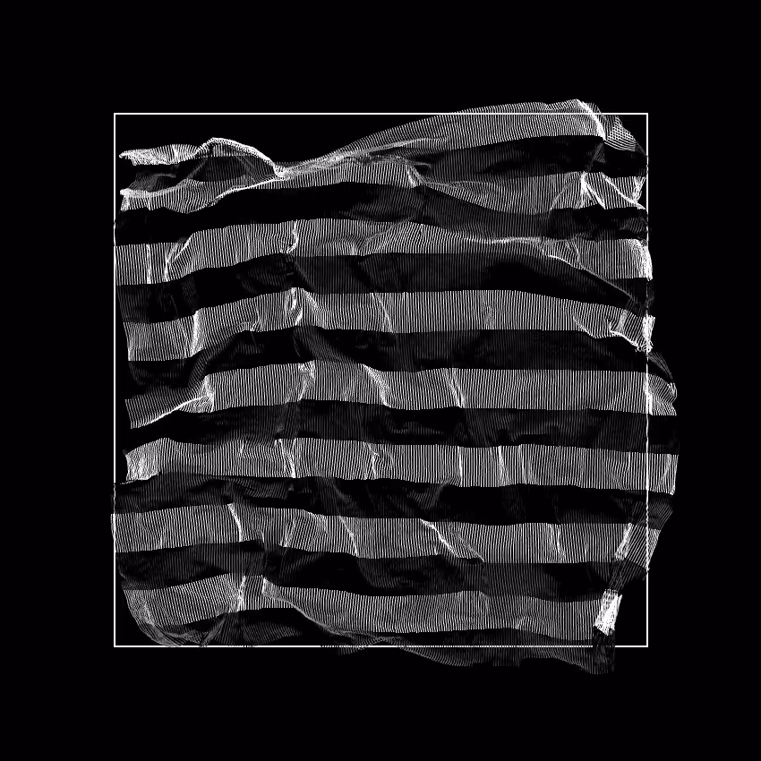 Fibril #255