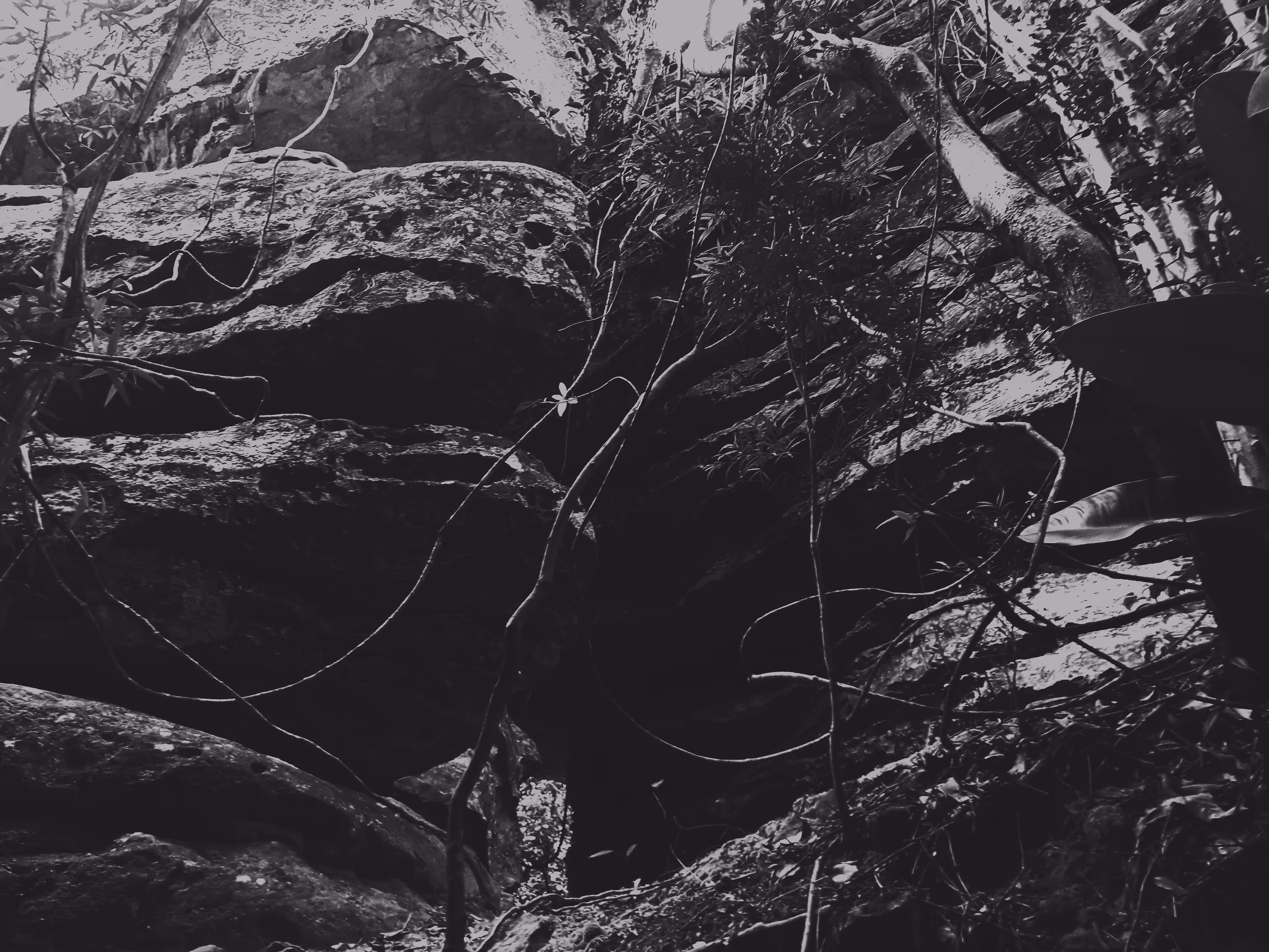 Chapada #08