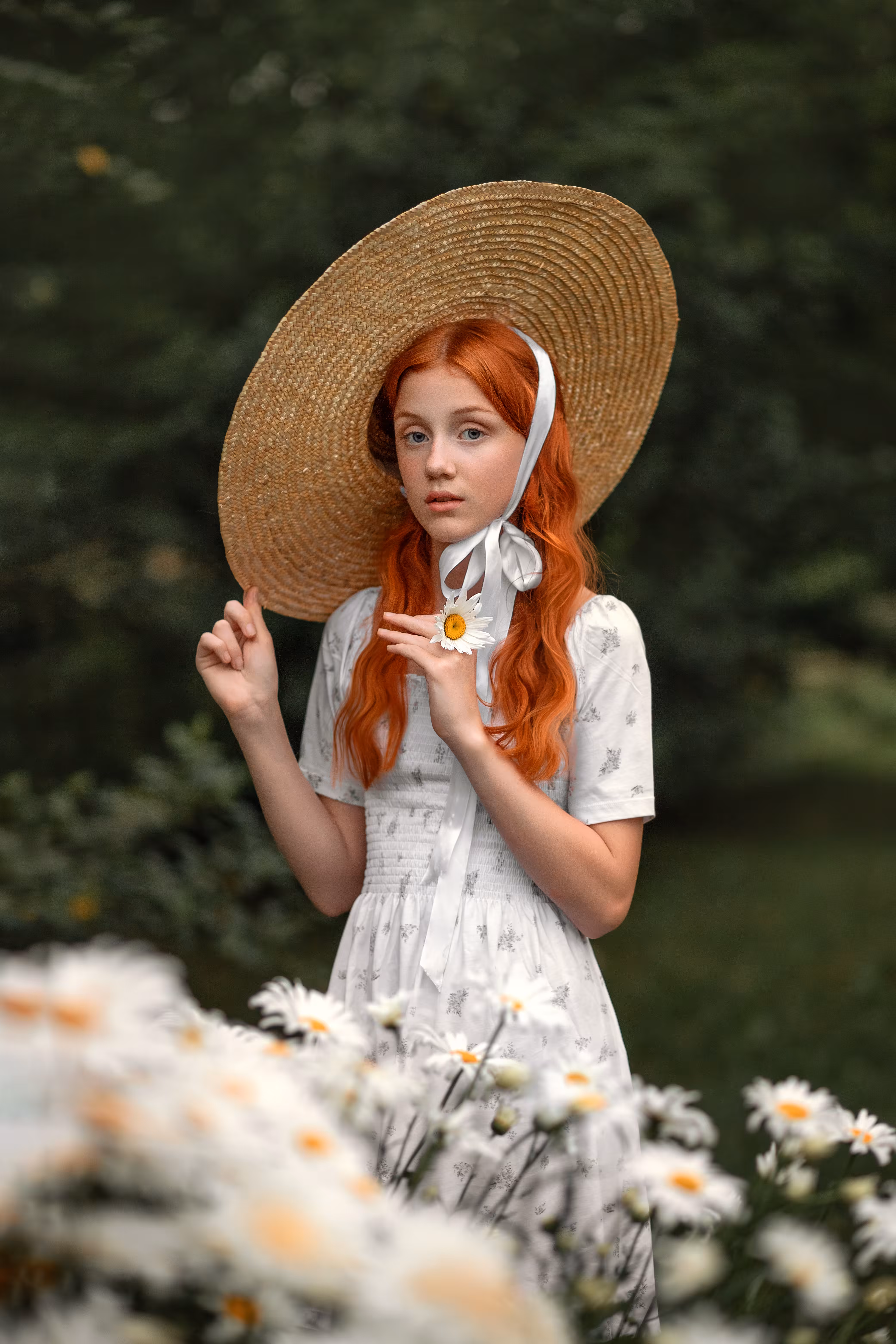 Daisy