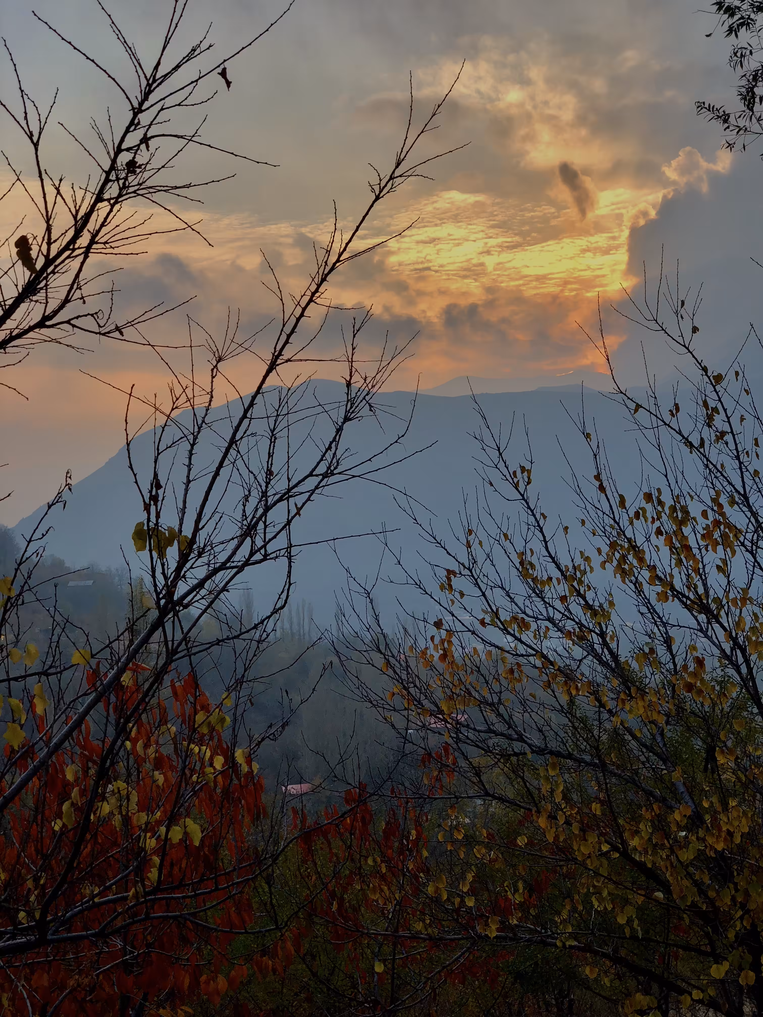 Autumn