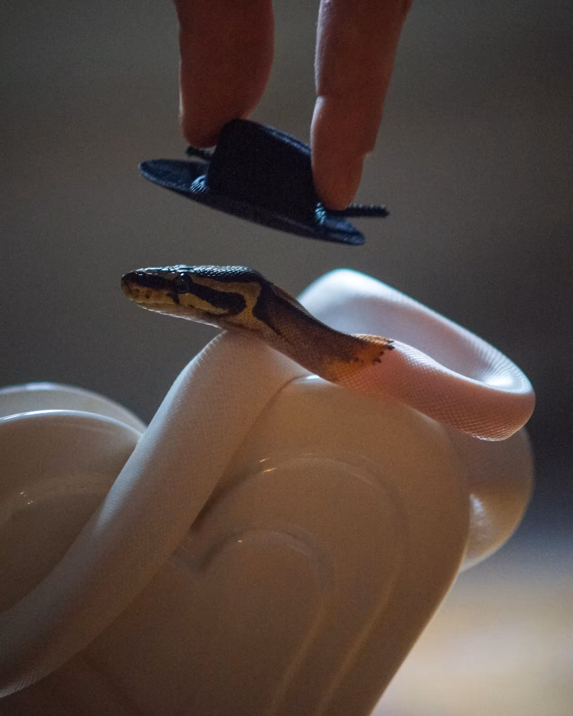 Yeehaw