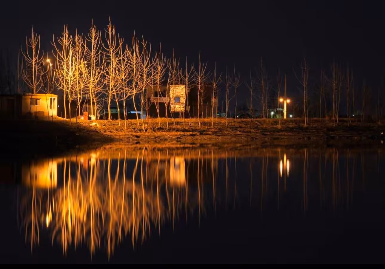 Night Reflection