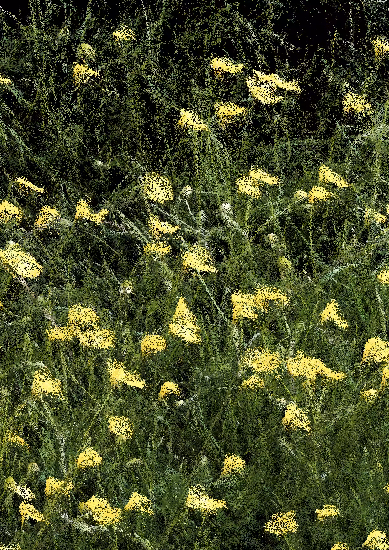 Overgrowth 0343
