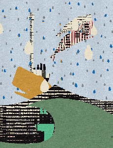 The Flood & The Whale #211