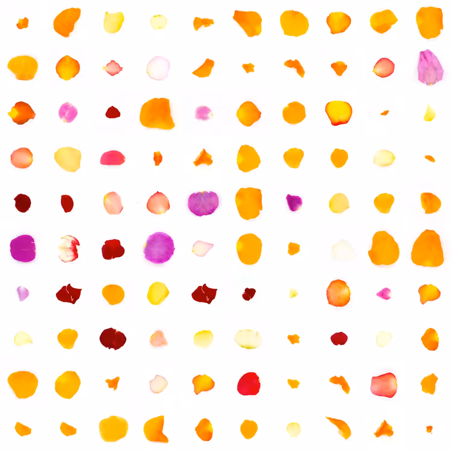 Infinite Petals 10x10#533381