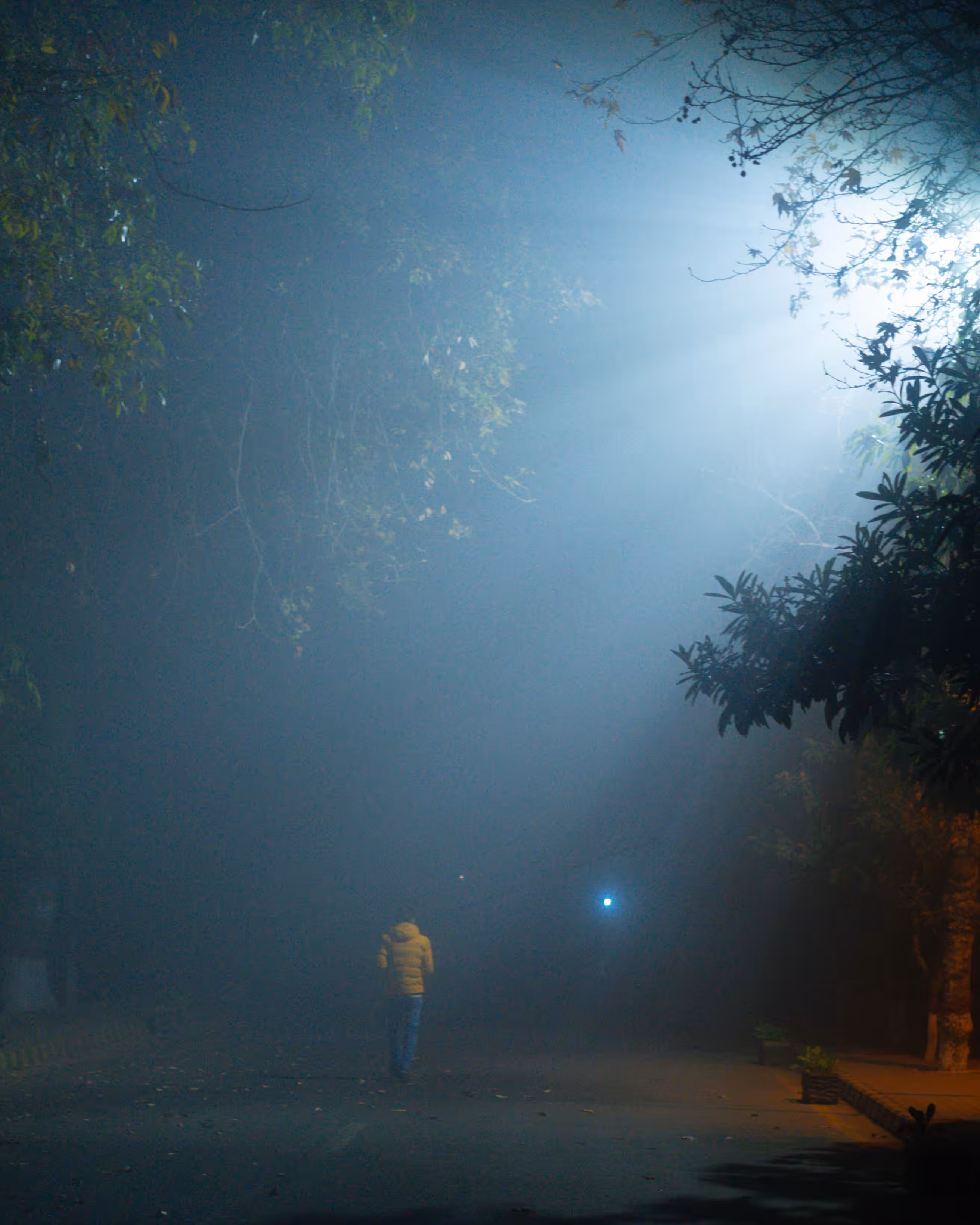 between DUSK and DAWN : Walking Into Light