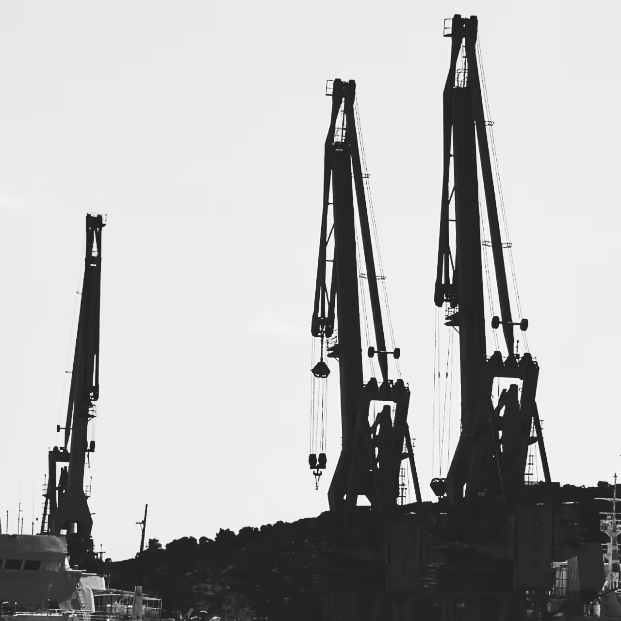 Cranes