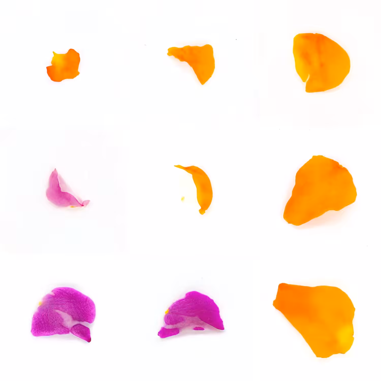 Infinite Petals 3x3#3921