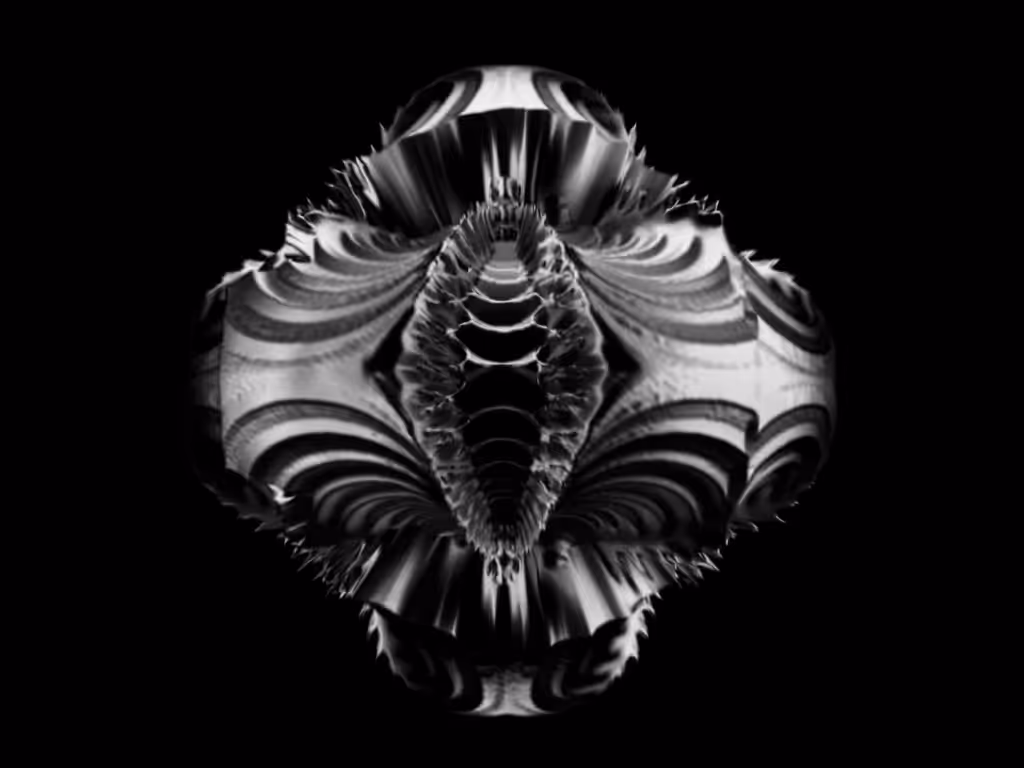 Displaced Fractal